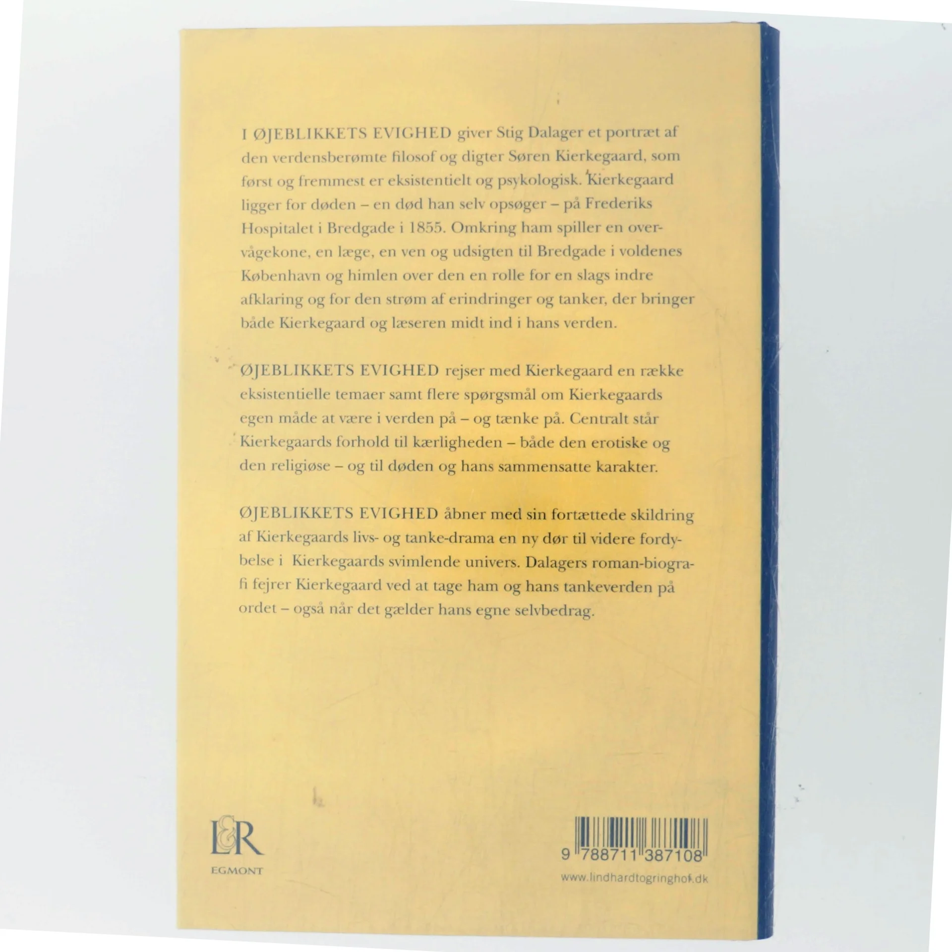 Øjeblikkets evighed : roman om Søren Kierkegaard af Stig Dalager (Bog)