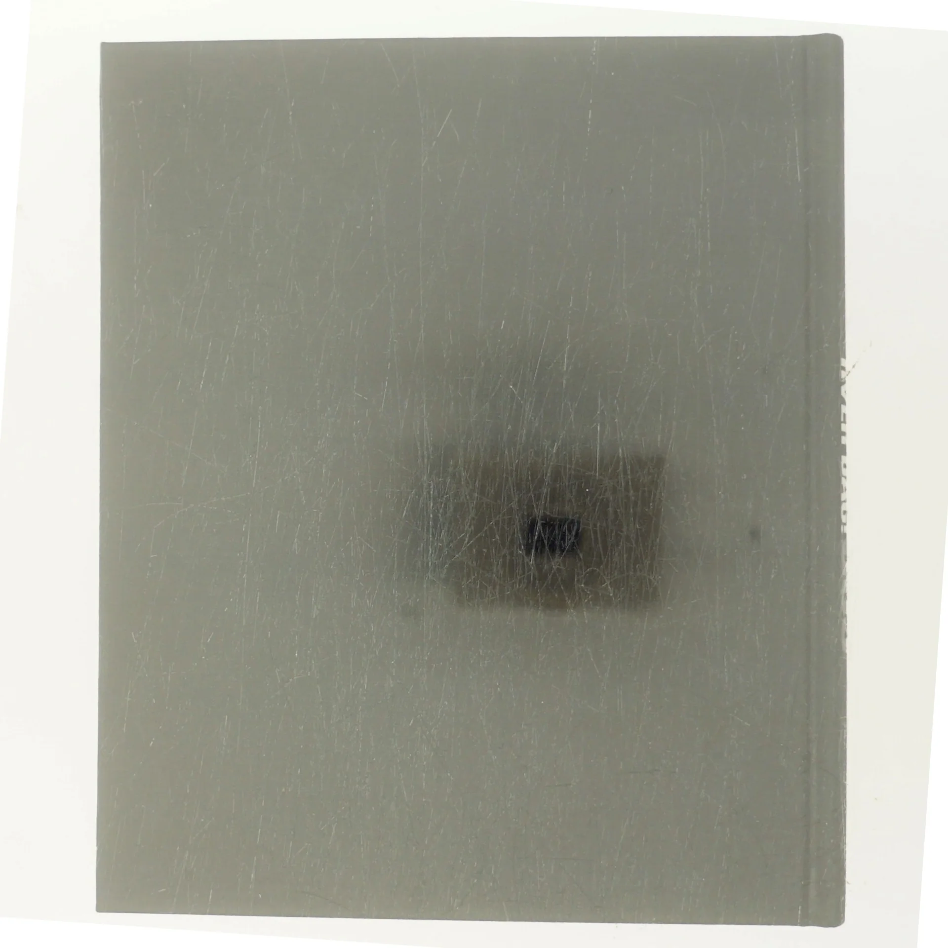 Hildebrandt Hver Dag! af Hildebrandt (Bog)