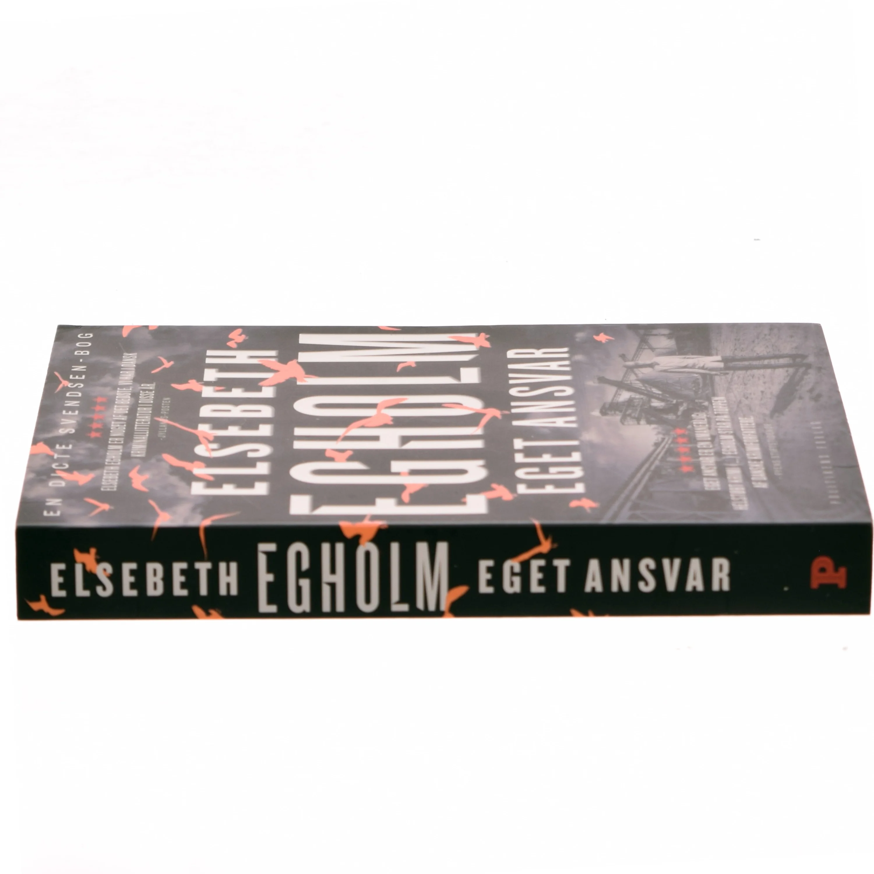 Eget Ansvar af Elsebeth Egholm fra Politikens Forlag