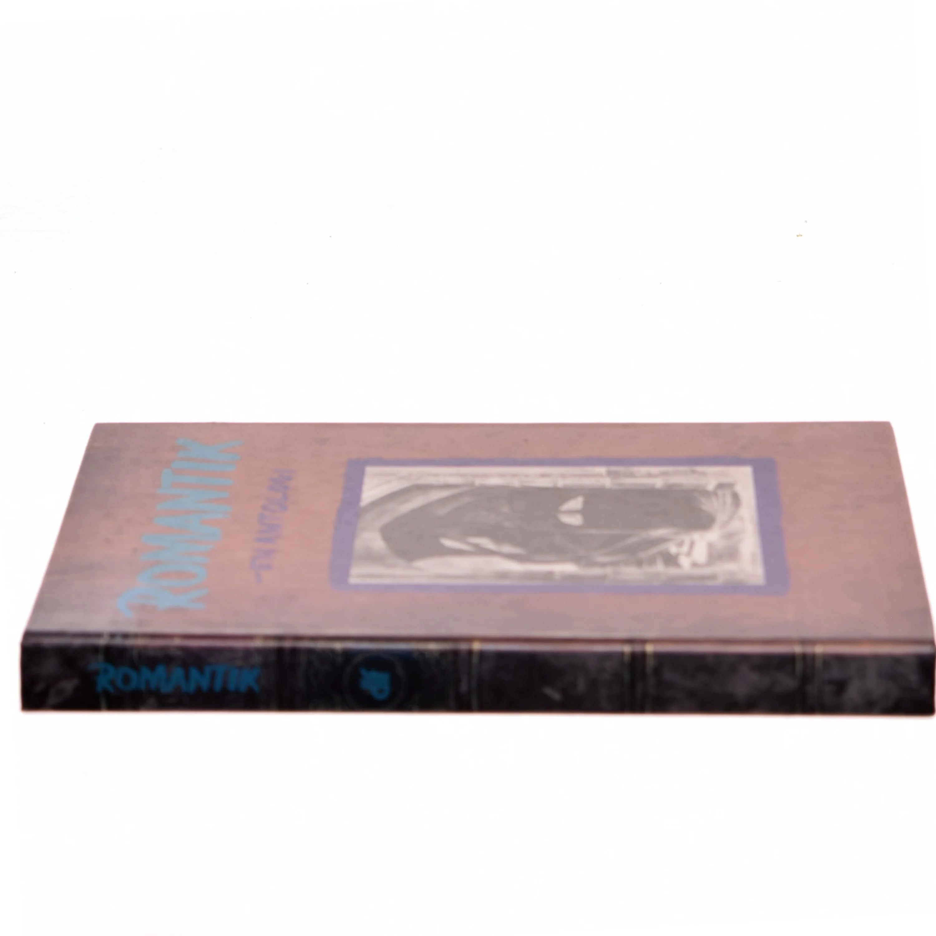 Romantik af Schack Staffeldt (Bog)