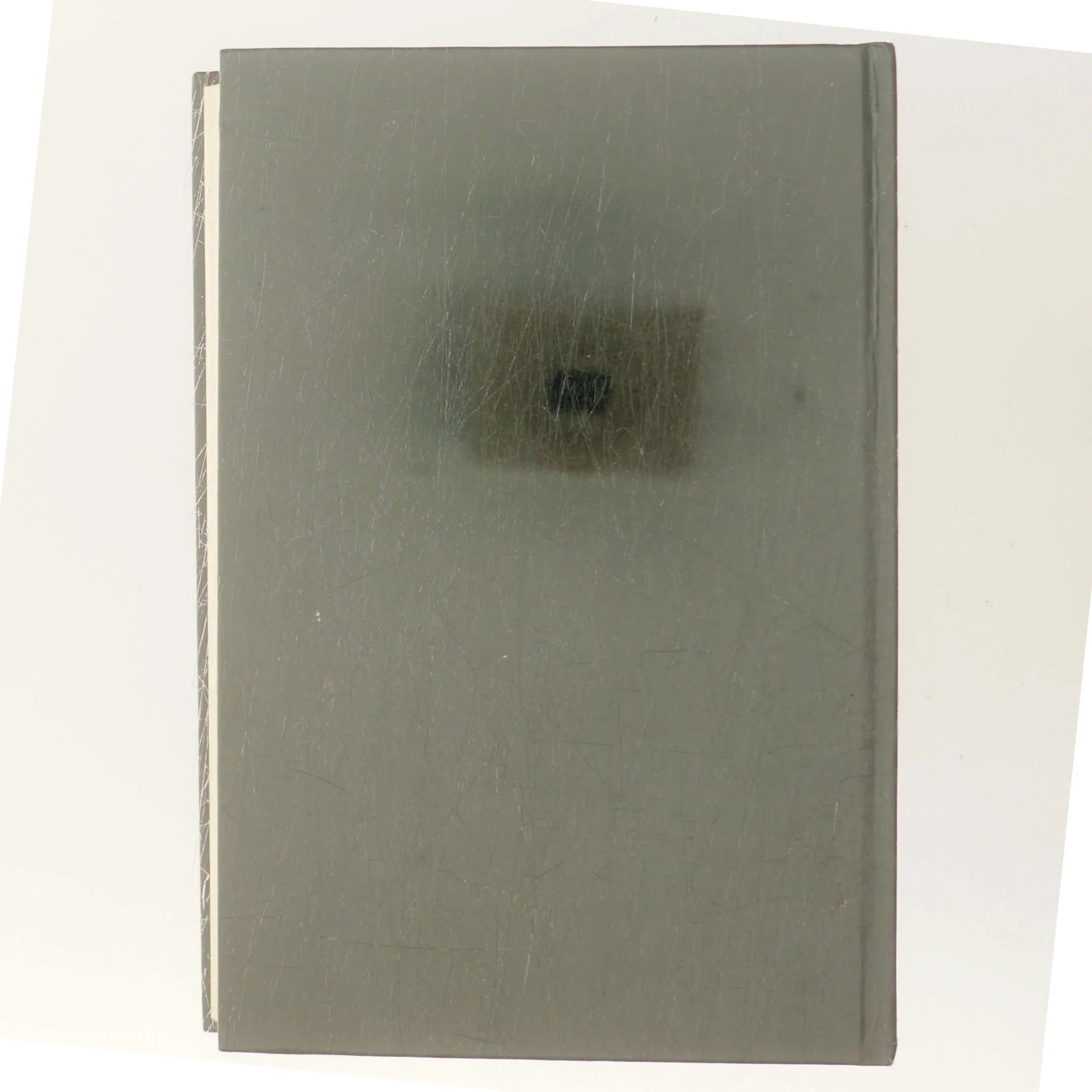 Håbets Land af Ann Moore (Bog)