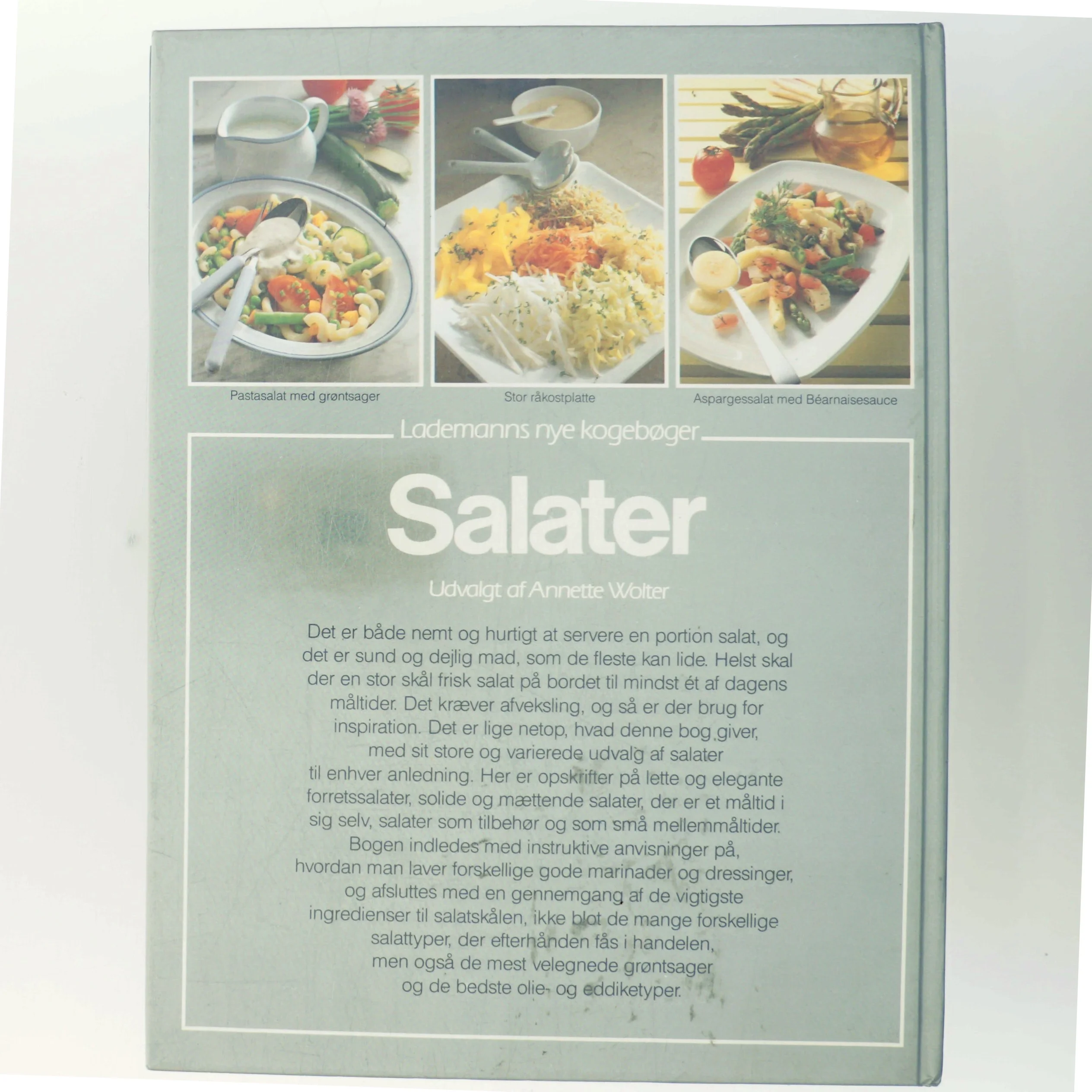 Salater af Udvalgt af Annette Wolter (Bog)