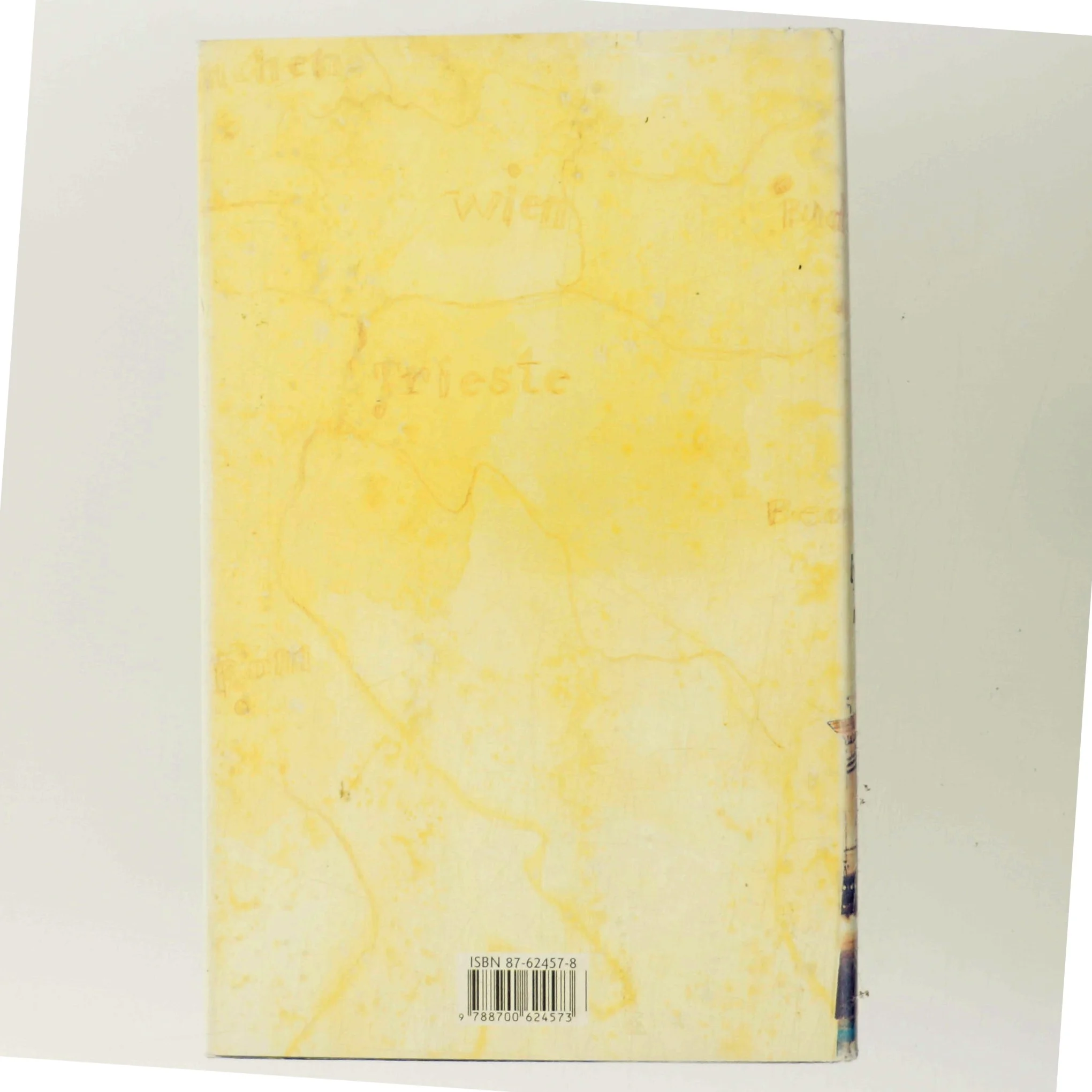 En lykkelig kvinde : roman af Hanne-Vibeke Holst (Bog)