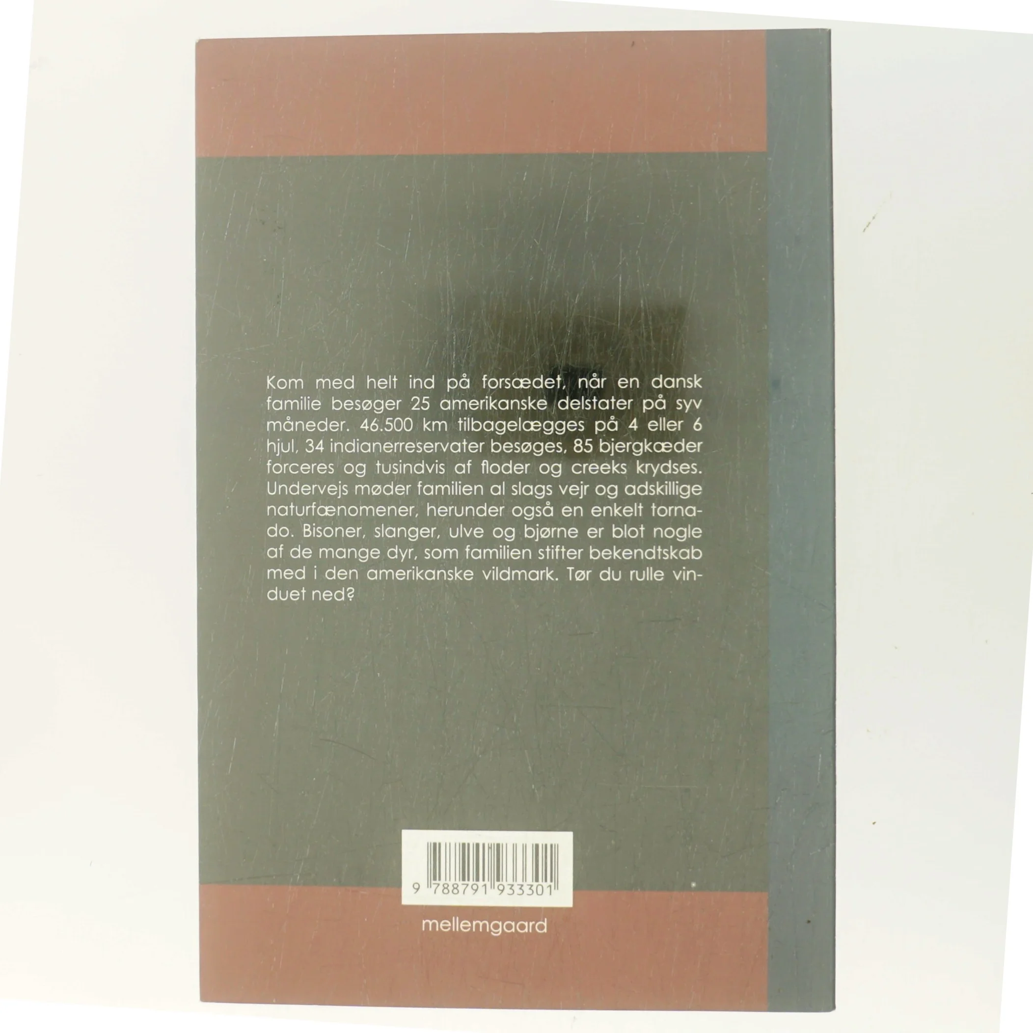 Med bisoner og tornadoer i horisonten : tips, tricks og gode historier fra en dansk families road trip i USA (Bog)