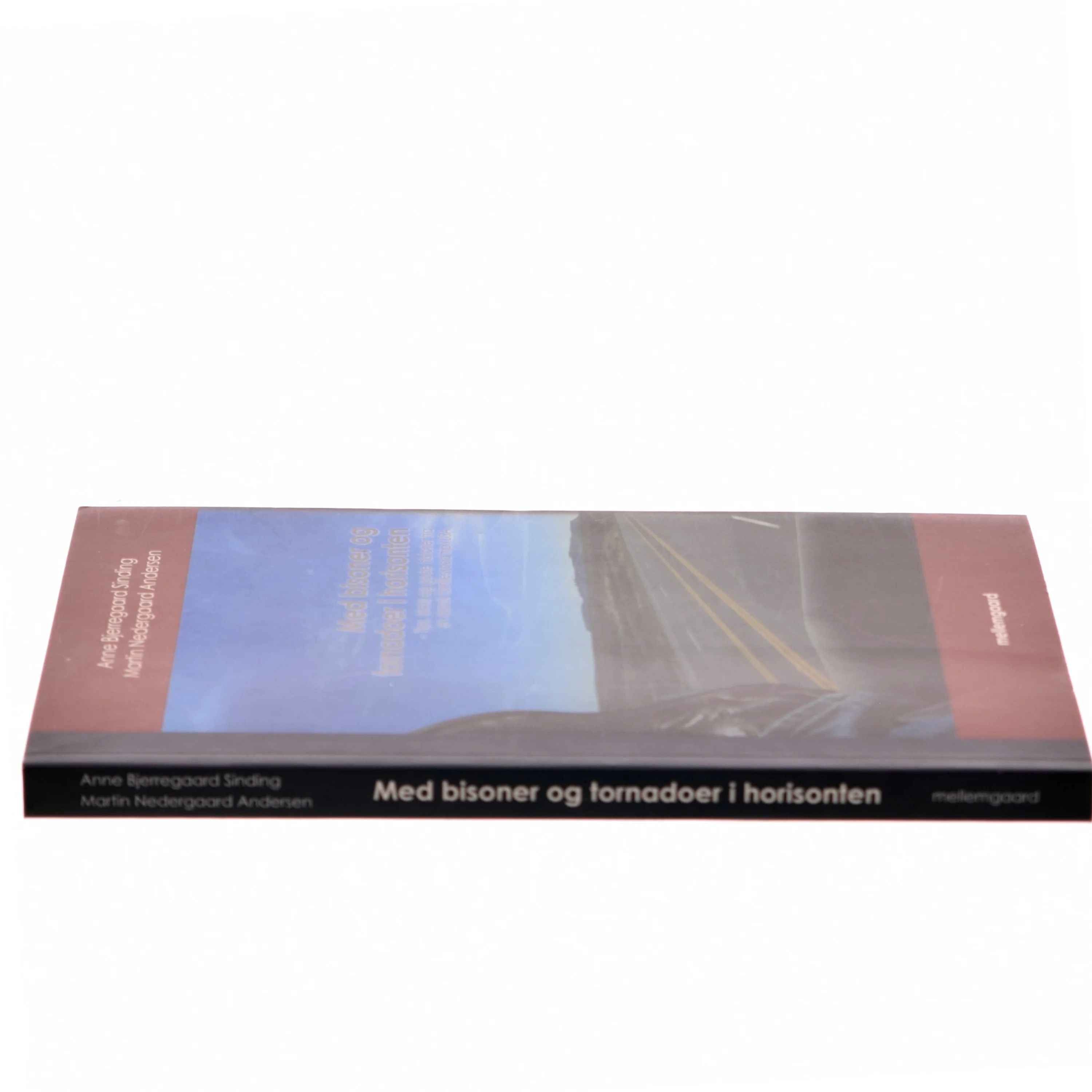 Med bisoner og tornadoer i horisonten : tips, tricks og gode historier fra en dansk families road trip i USA (Bog)