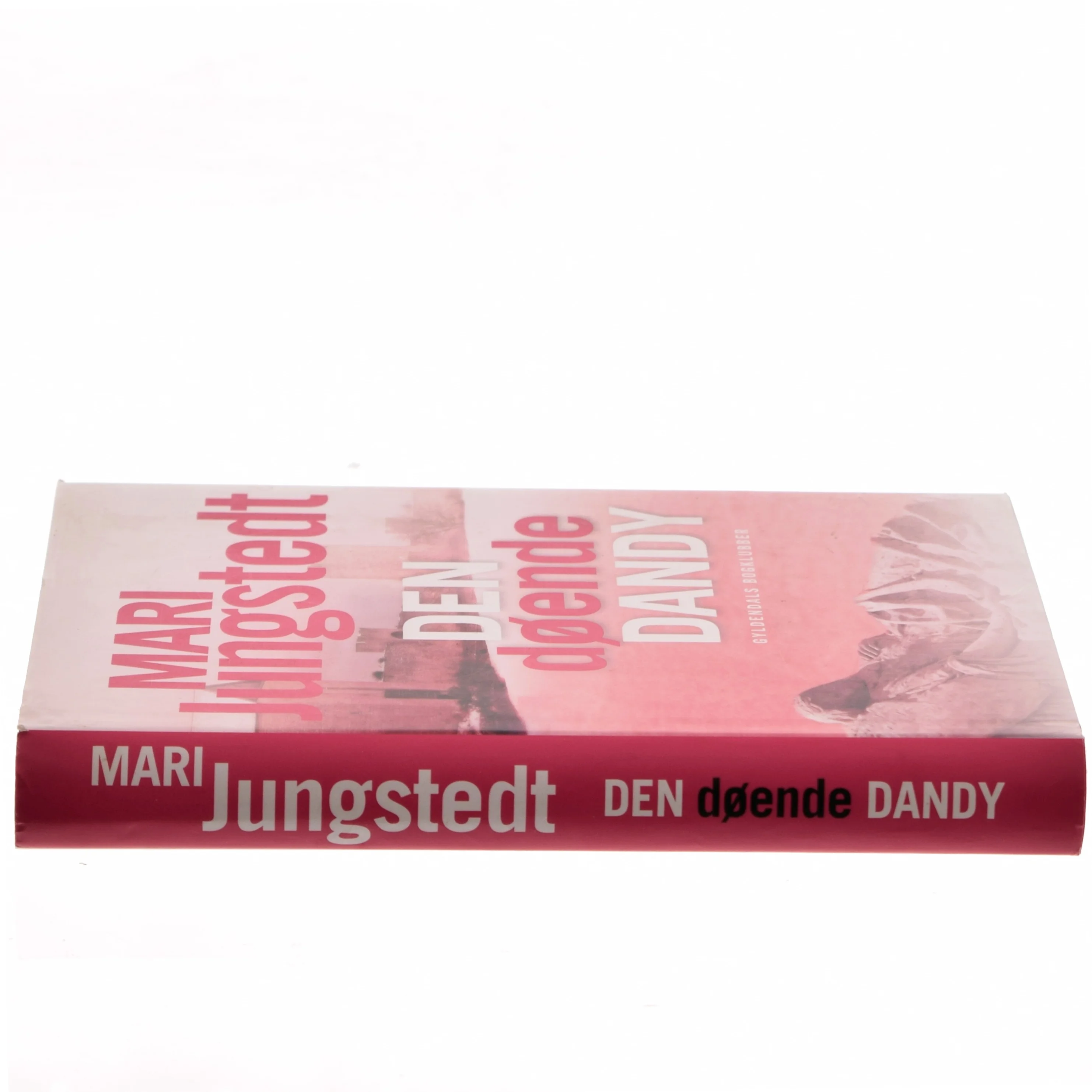 Den døende dandy : kriminalroman af Mari Jungstedt (Bog)