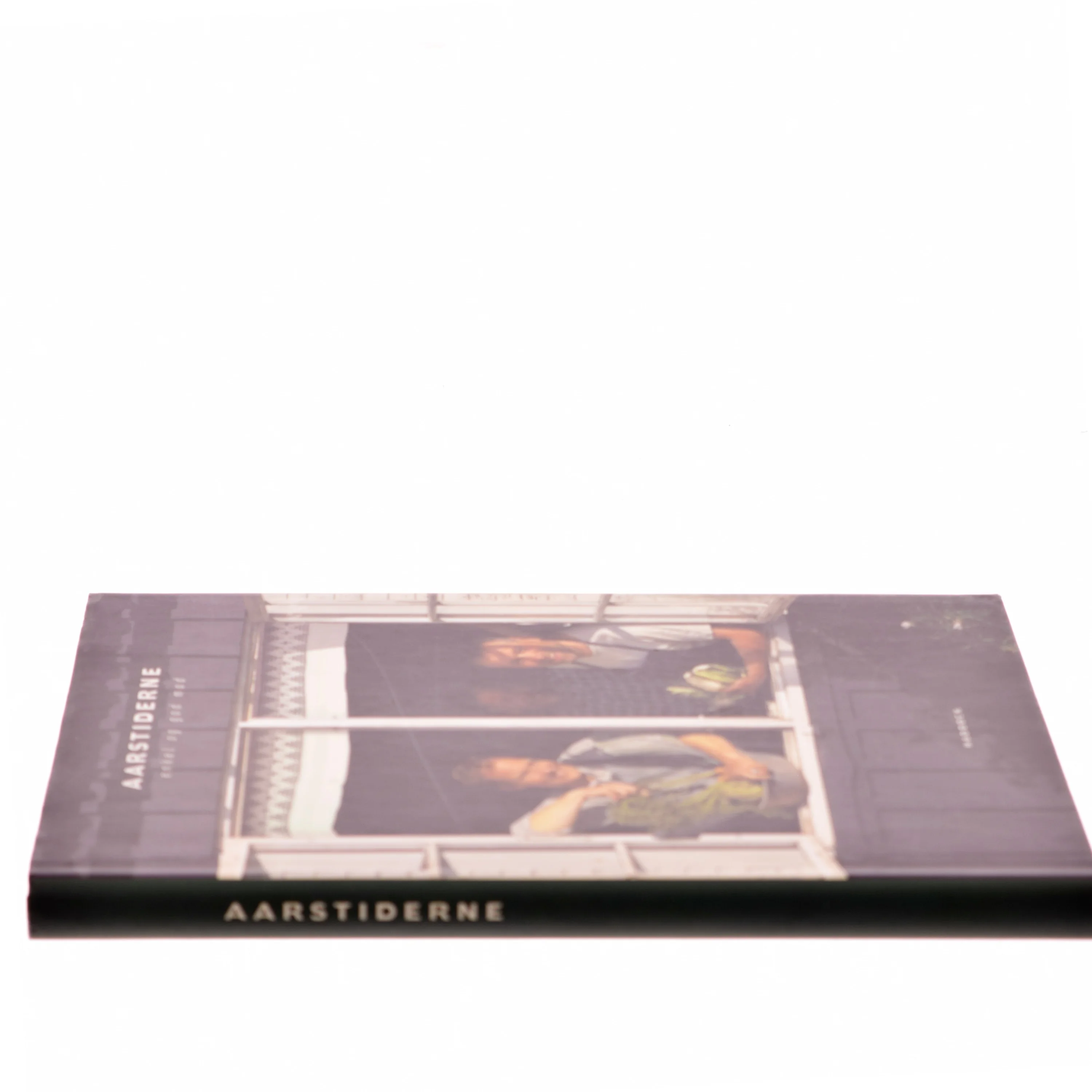 Aarstiderne : enkel og god mad af Camilla Plum og Noma (Bog)