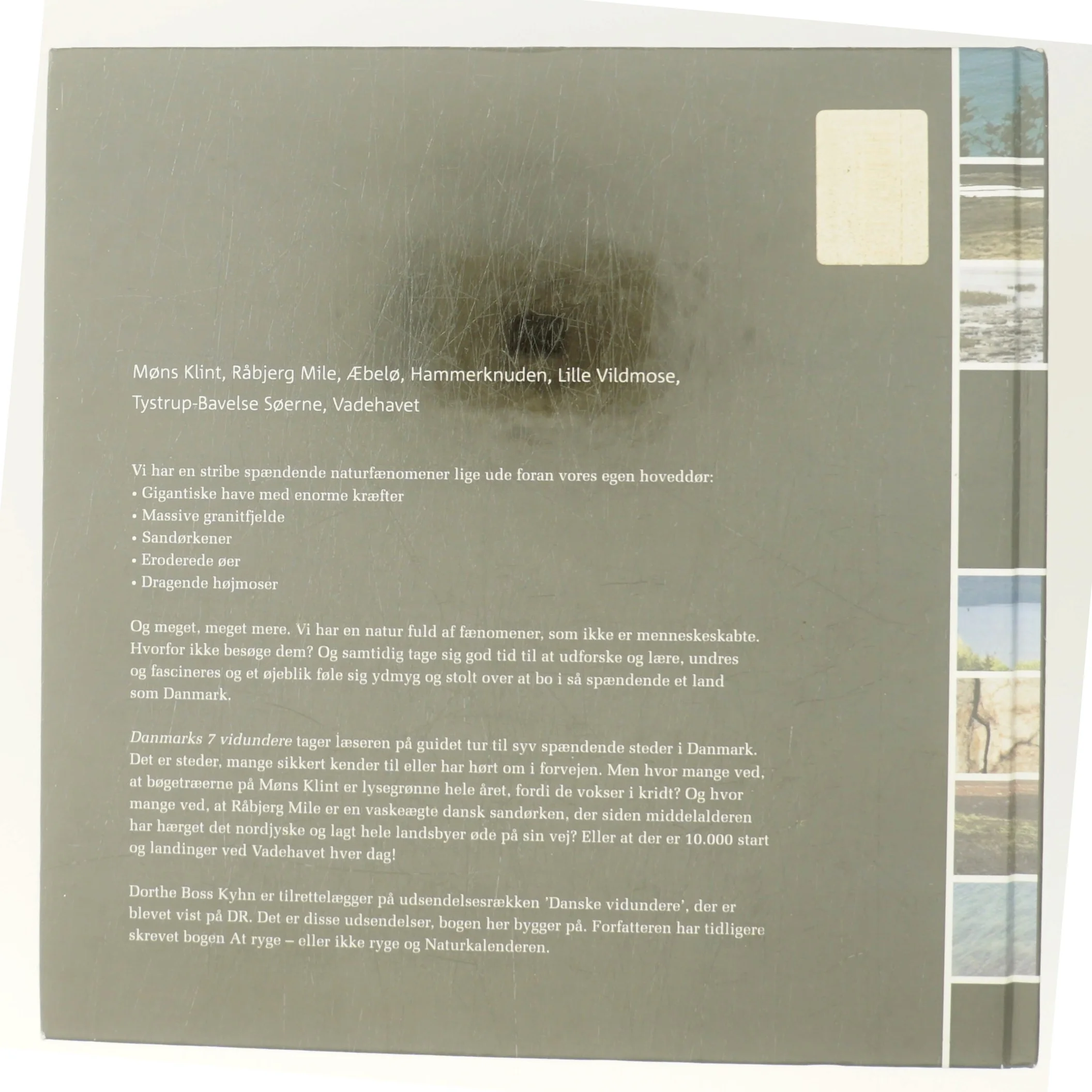 Danmarks Vidundere 7 af Dorthe Boss Kyhn (Bog)