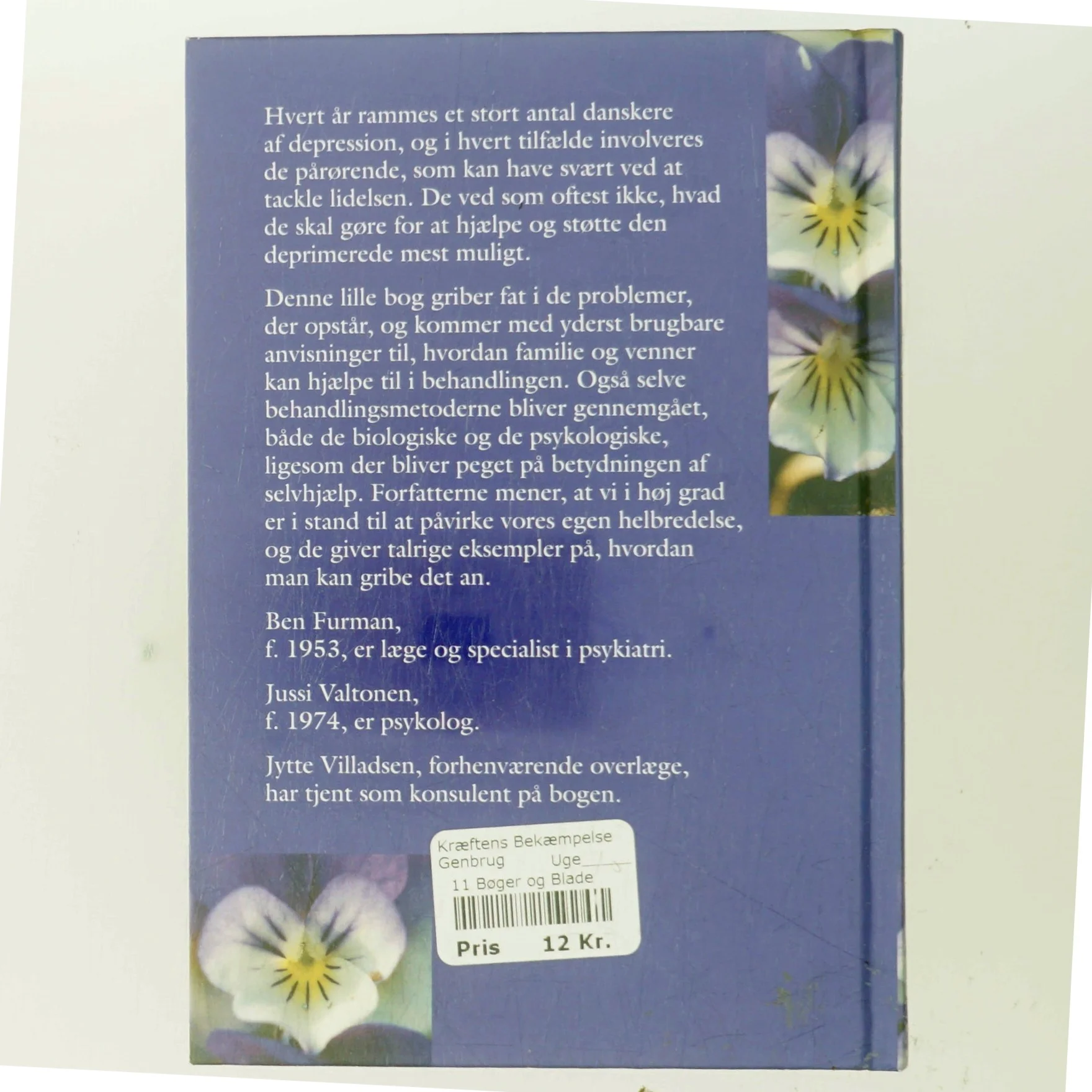 Et sted findes glæden af Ben Furman (Bog)