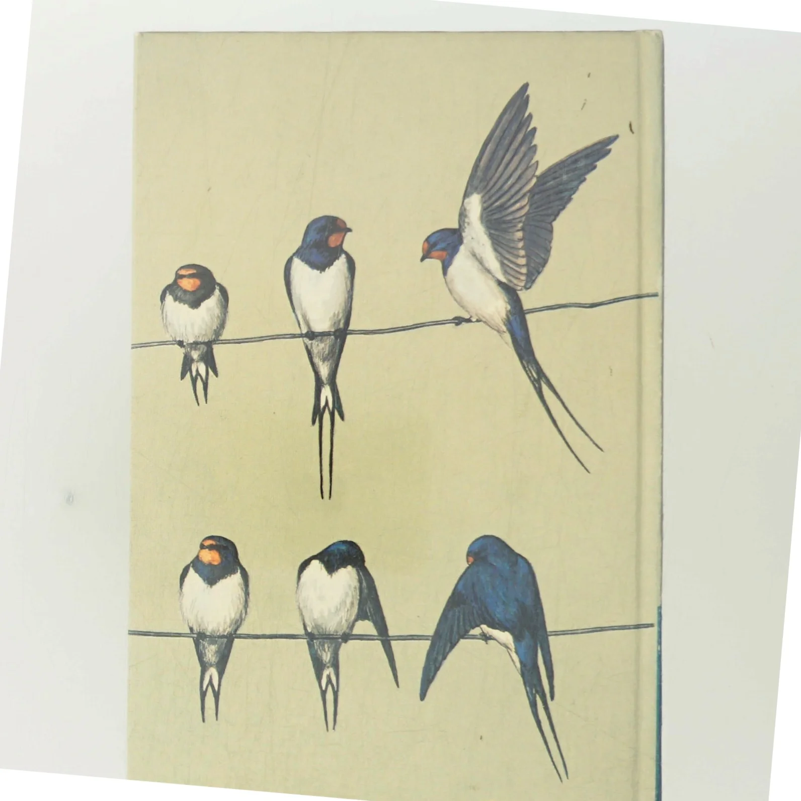 Fugle fra mark, hede og fjeld (Bog)