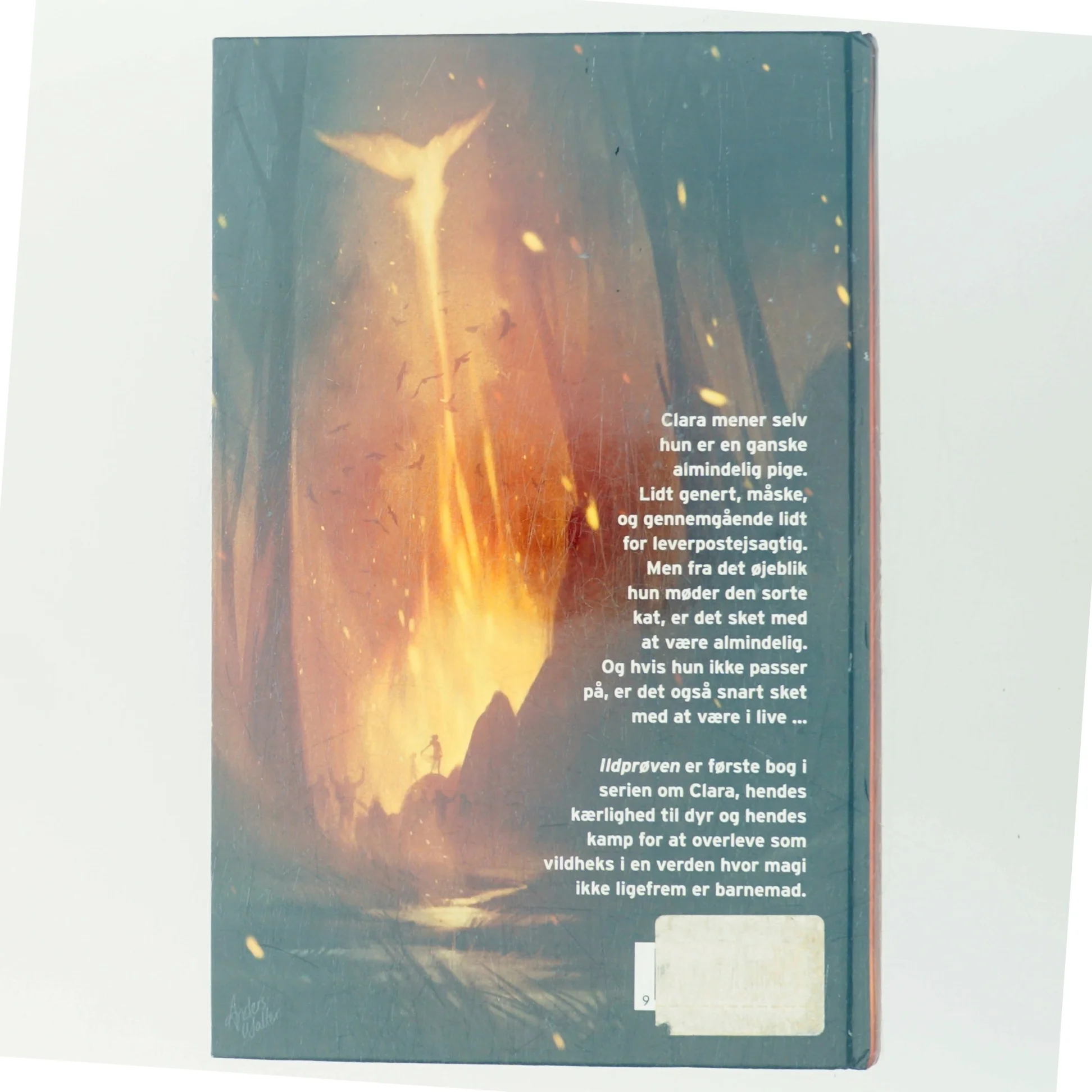 Vildheks af Lene Kaaberbøl (Bog)