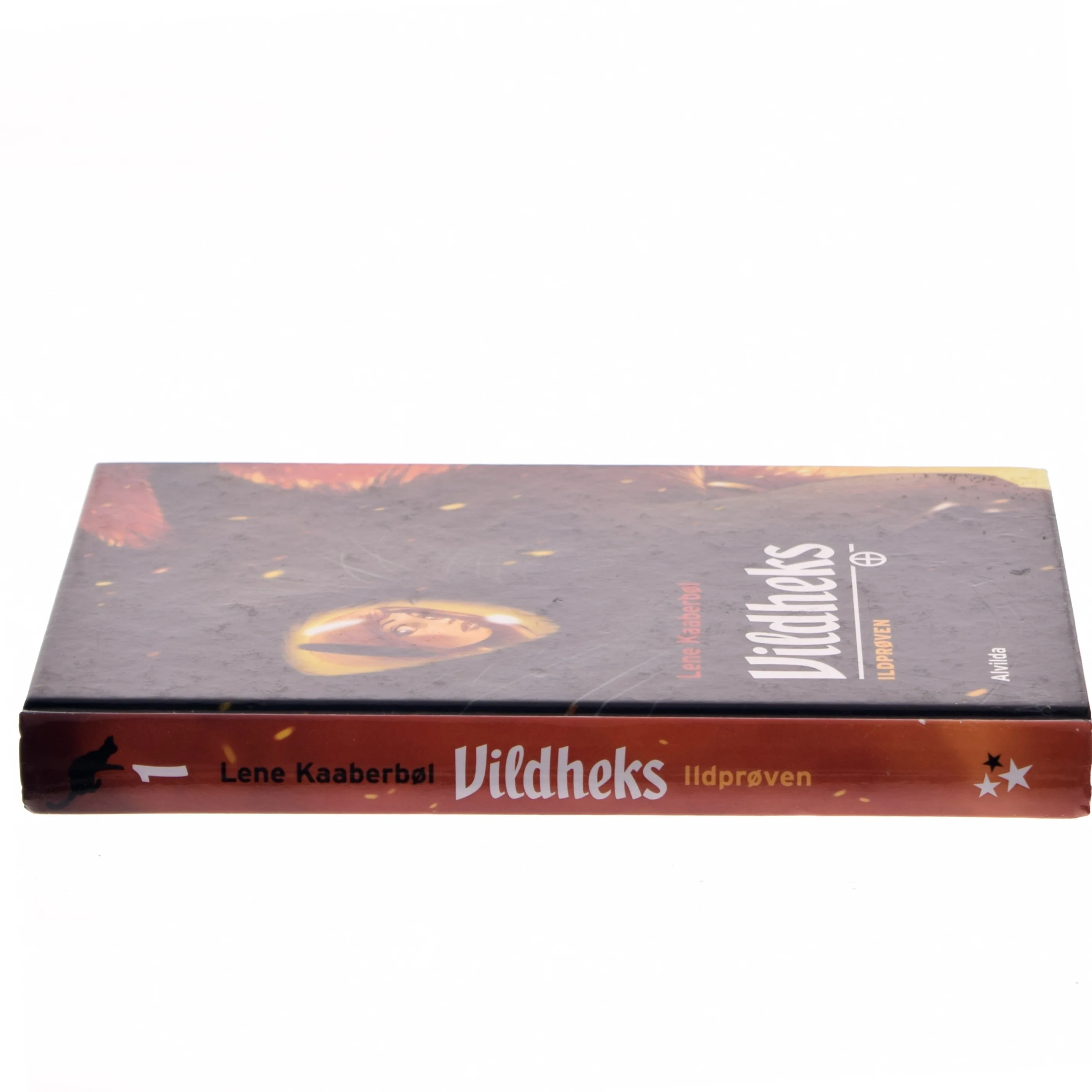 Vildheks af Lene Kaaberbøl (Bog)