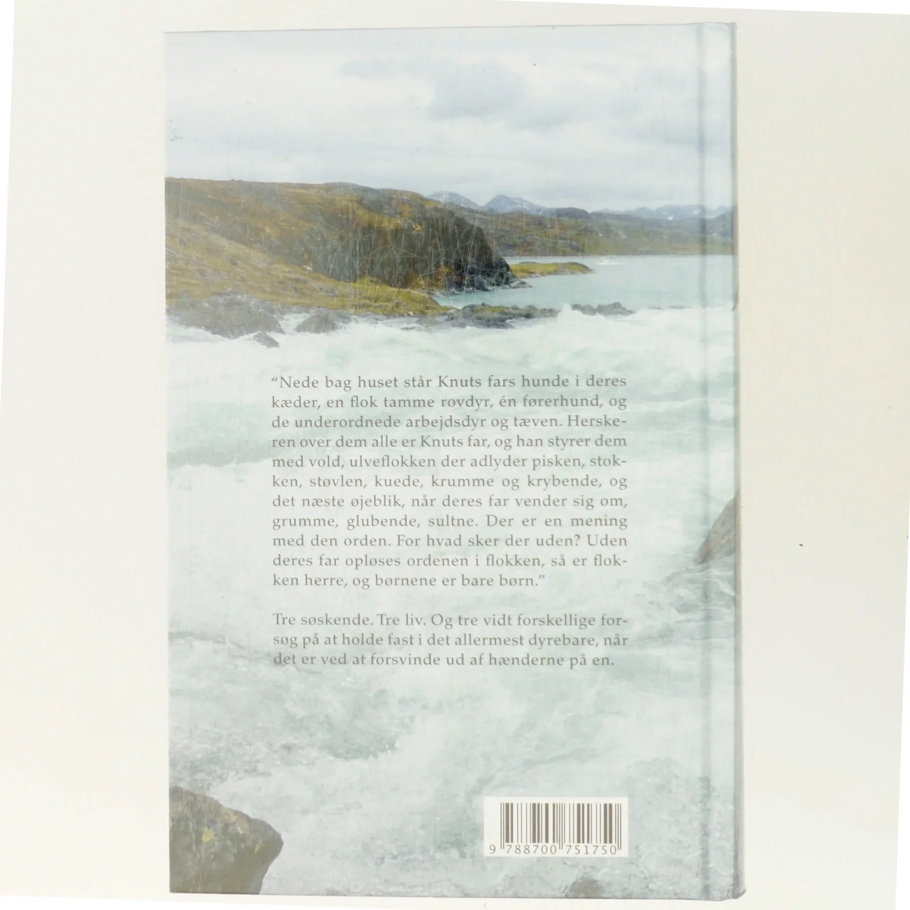 Godhavn : roman af Iben Mondrup (Bog)