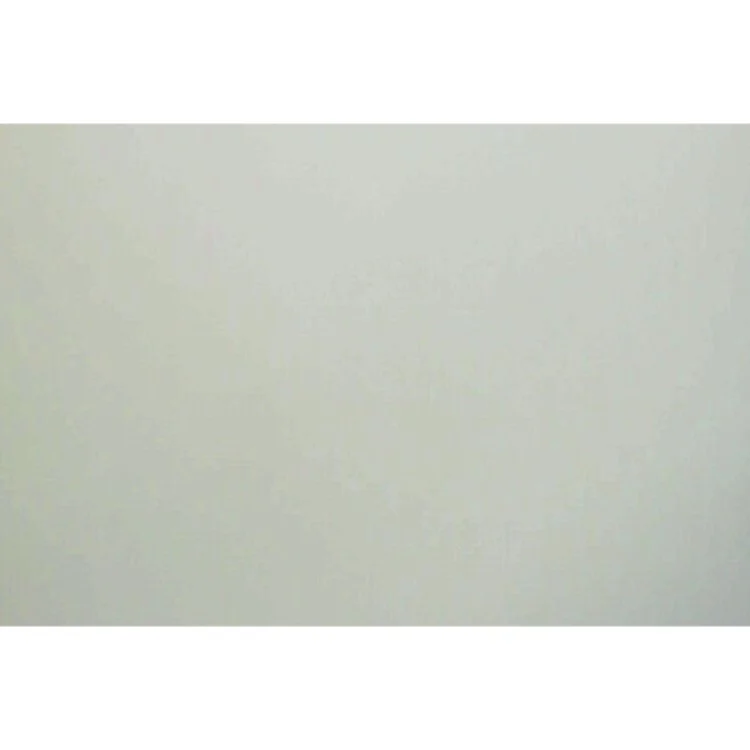 Den sorte død af Edgar Allan Poe (Bog)