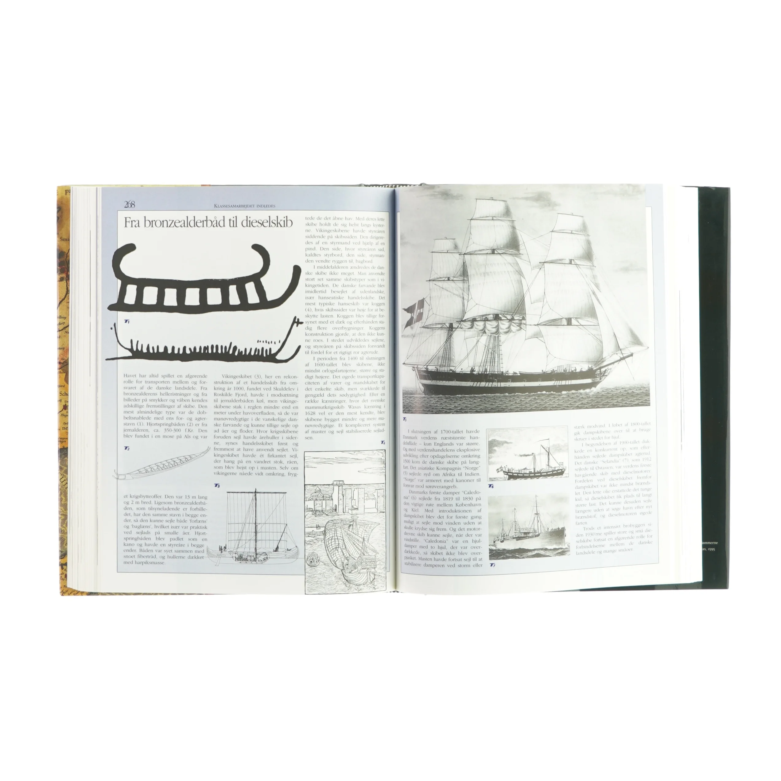 Danmarks historiens hvem, hvad og hvornår (Bog)