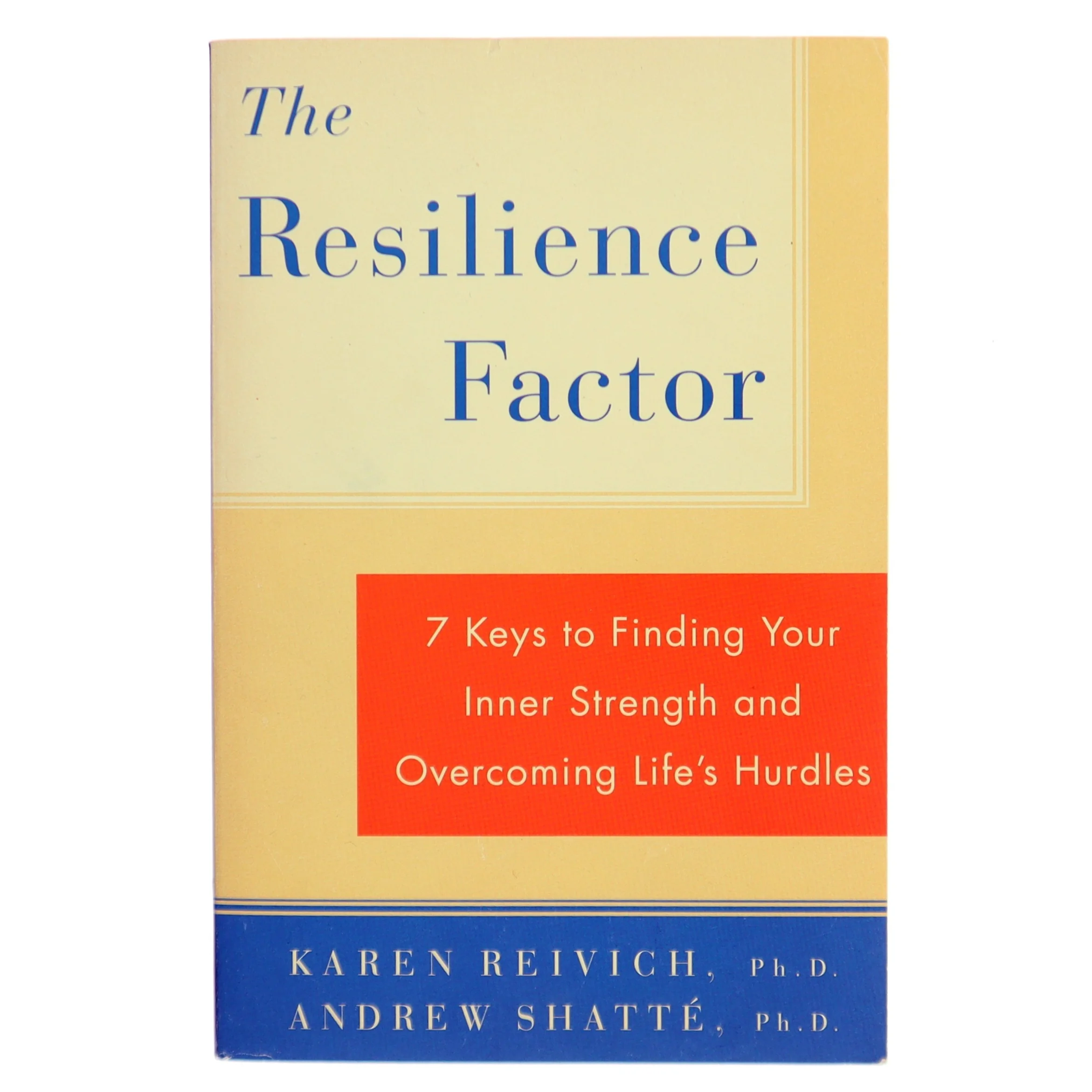 The Resilience Factor Bog