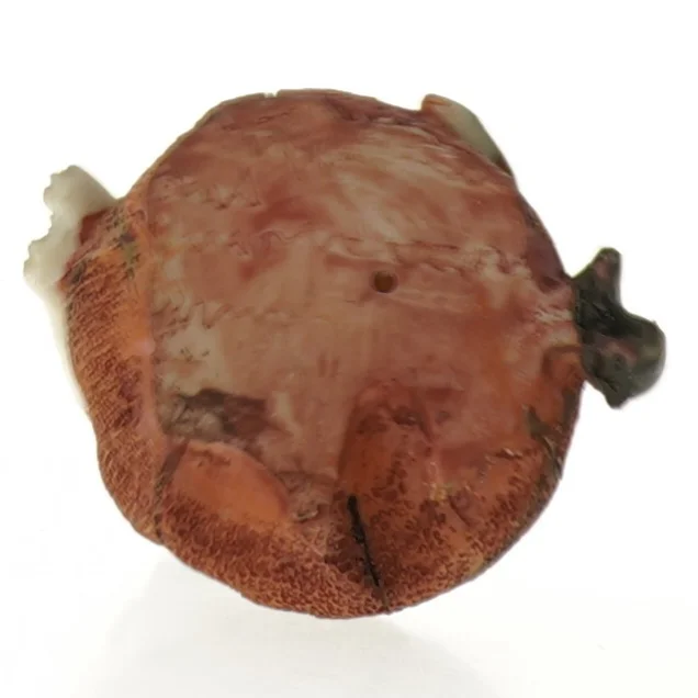 Figur af beagle (str. 8 x 8 cm)