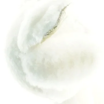 Blød plysbamsekanin (str. 13 x 11 cm)