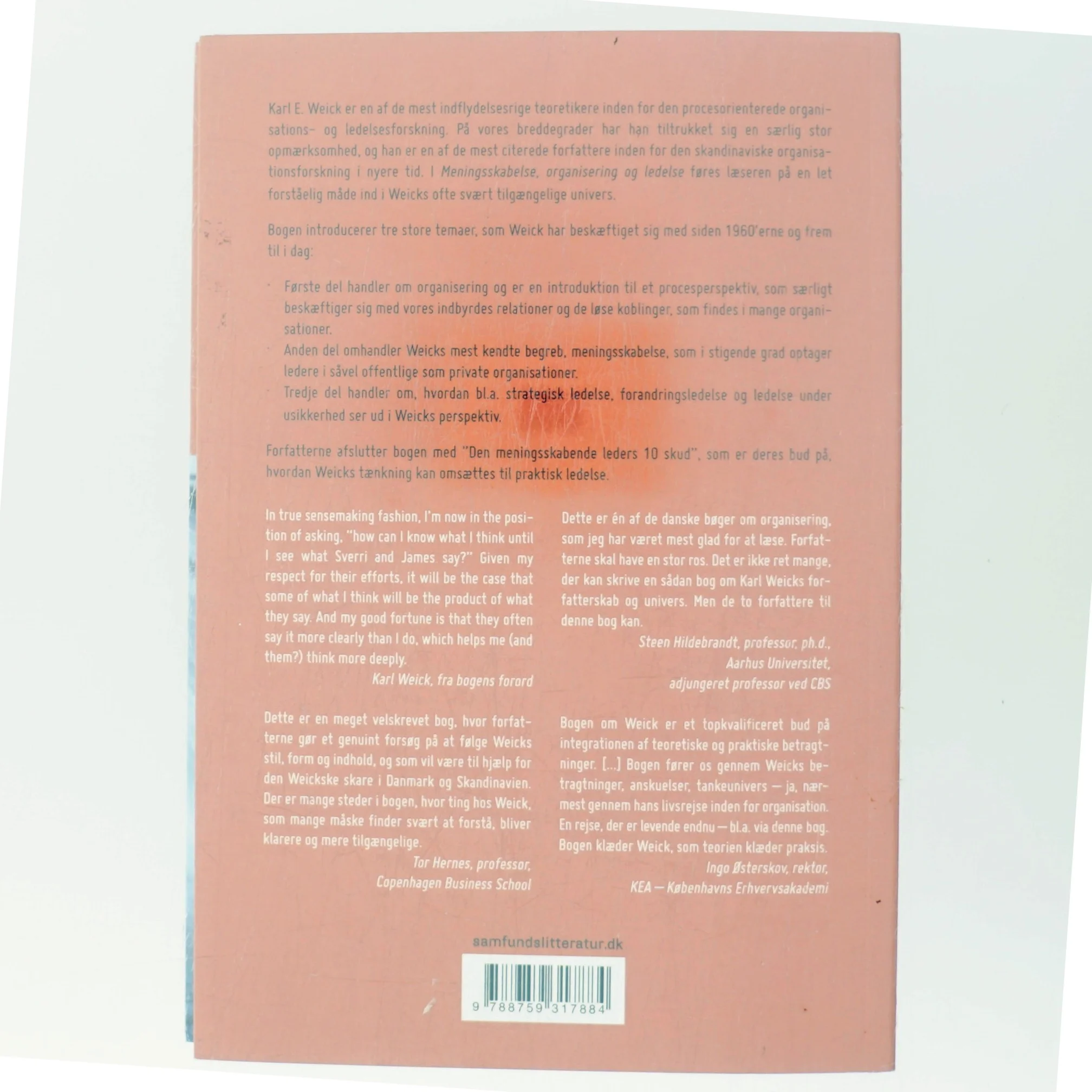 Meningsskabelse, organisering og ledelse (Bog)