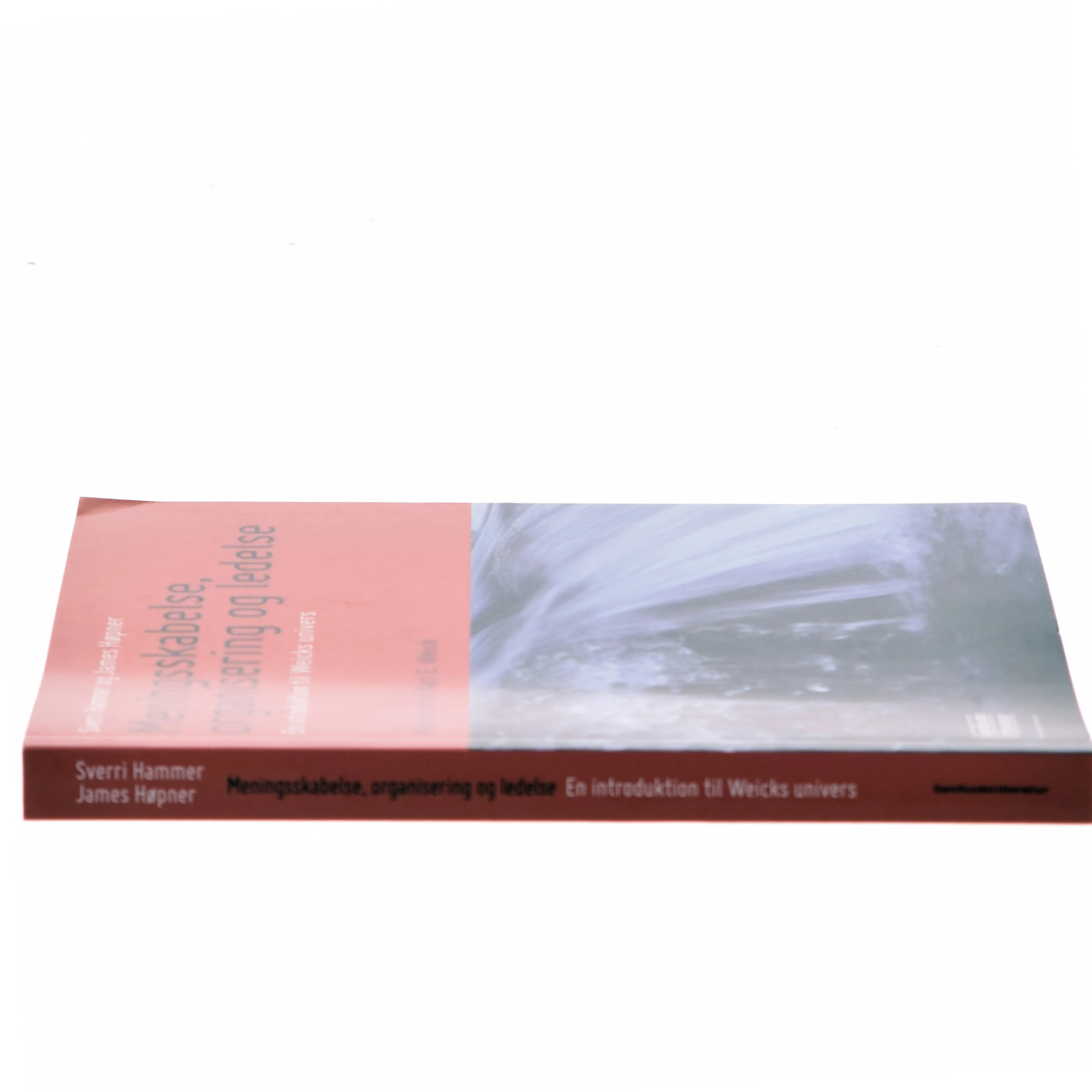 Meningsskabelse, organisering og ledelse (Bog)