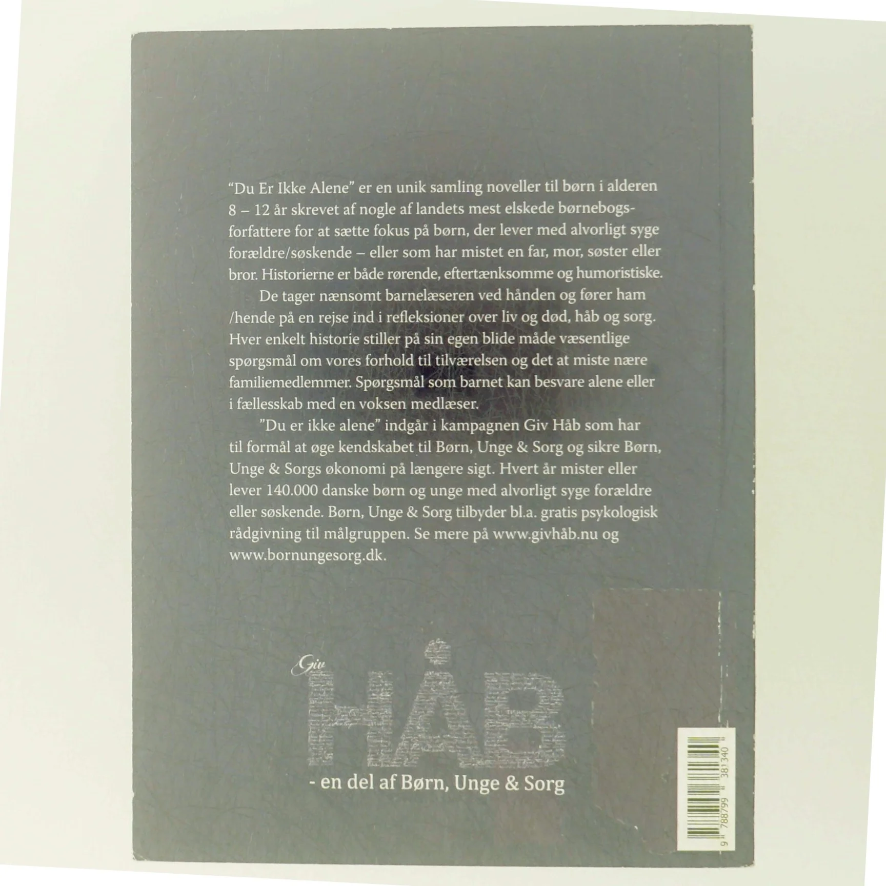 'Du er ikke alene - 4 noveller om at miste et nært familiemedlem' (bog)