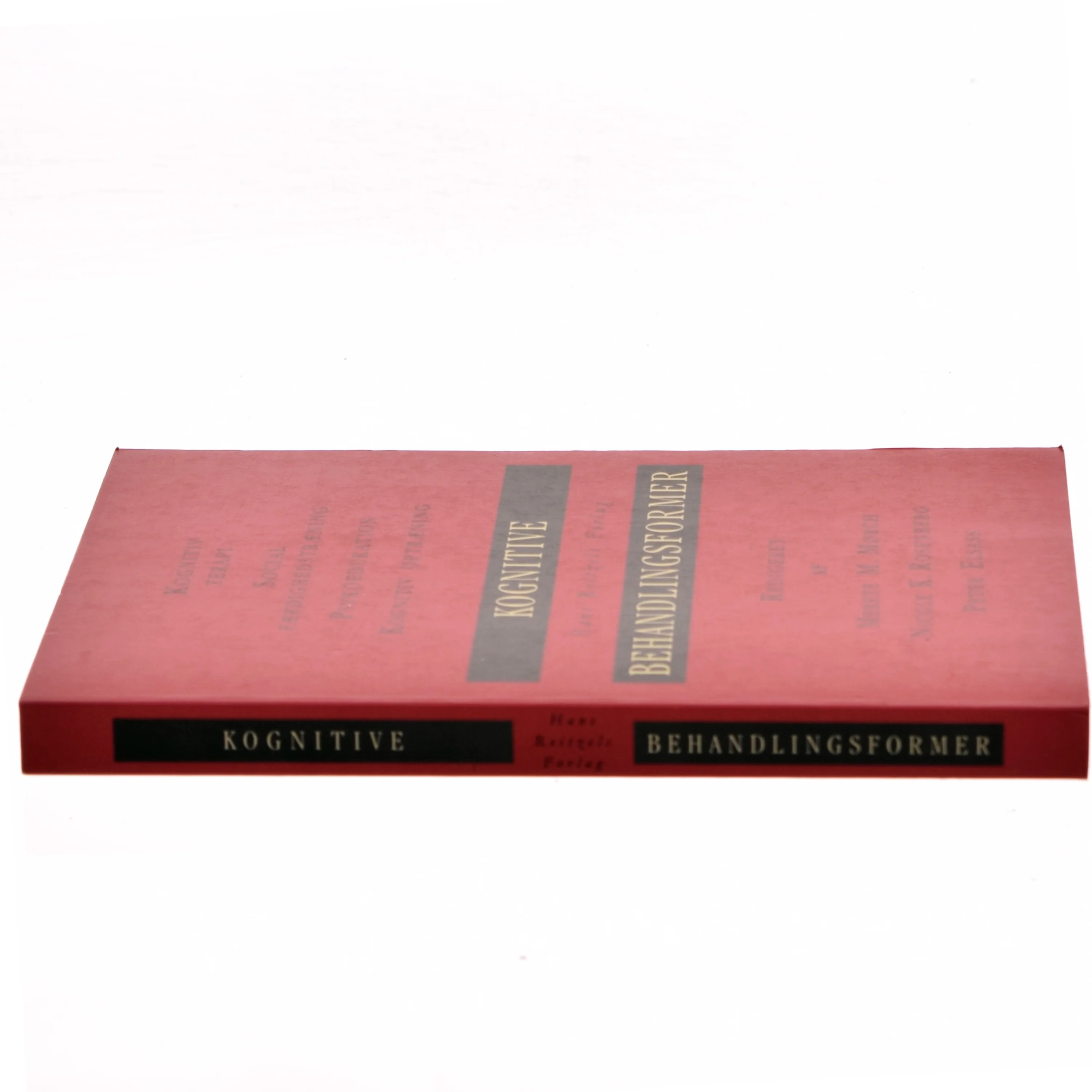 Kognitive behandlingsformer : kognitiv terapi, social færdighedstræning, psykoedukation og kognitiv optræning. Appendix (Bog)