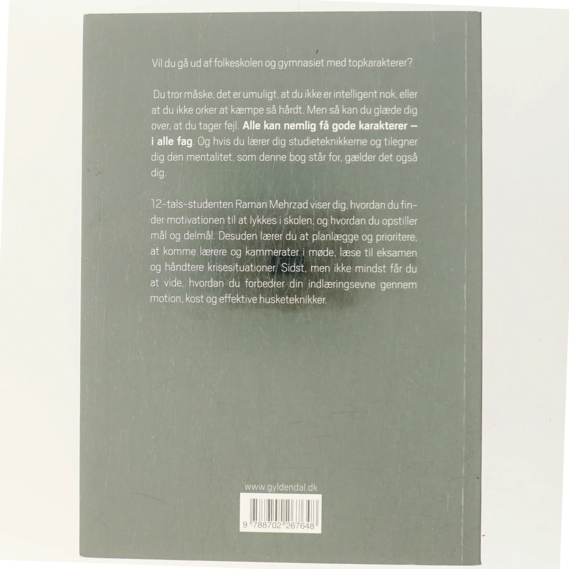 12 i alle fag : den ultimative guide til gode karakterer af Raman Mehrzad (Bog)