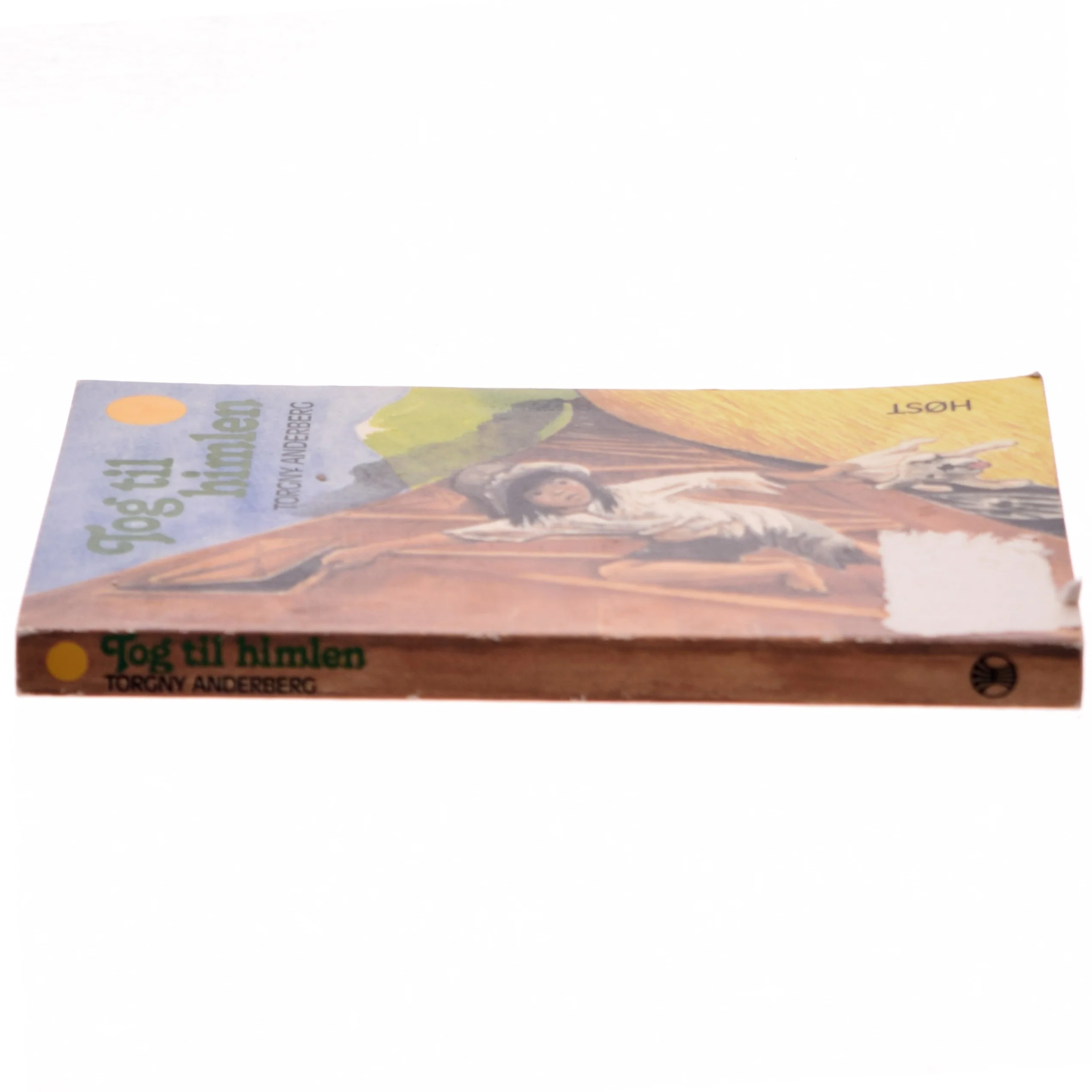 Tog til himlen af Torgny Anderberg (Bog)