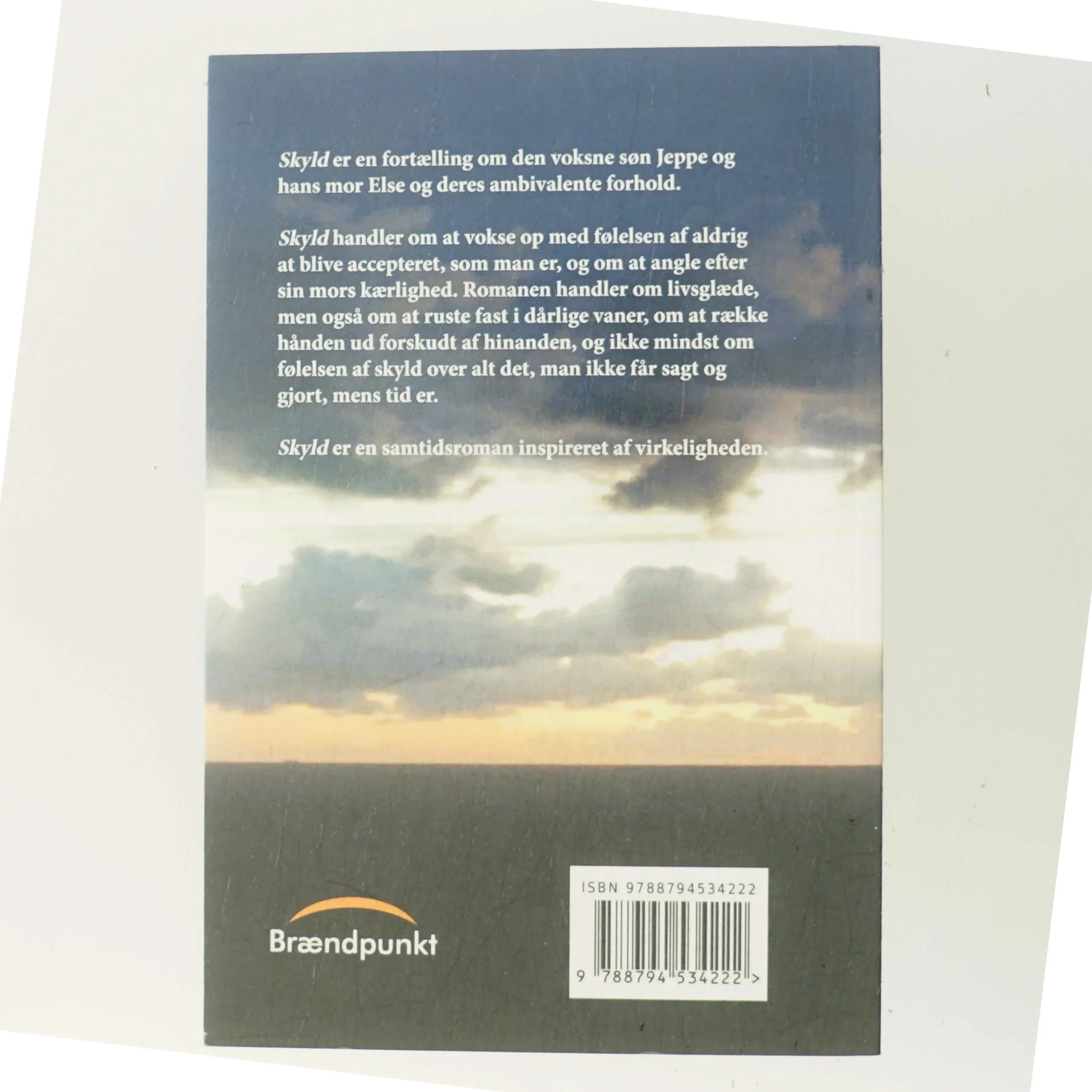 Skyld : roman af Mariann Richterhausen (f. 1980) (Bog)