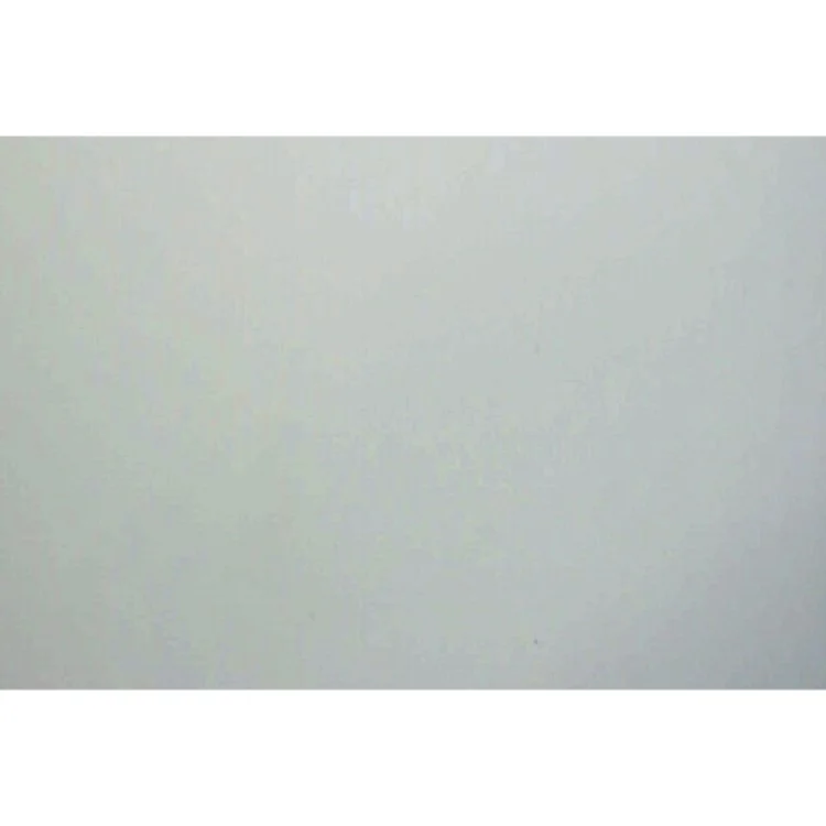 Stadier på antisemitismens vej : Søren Kierkegaard og jøderne af Peter Tudvad (Bog)