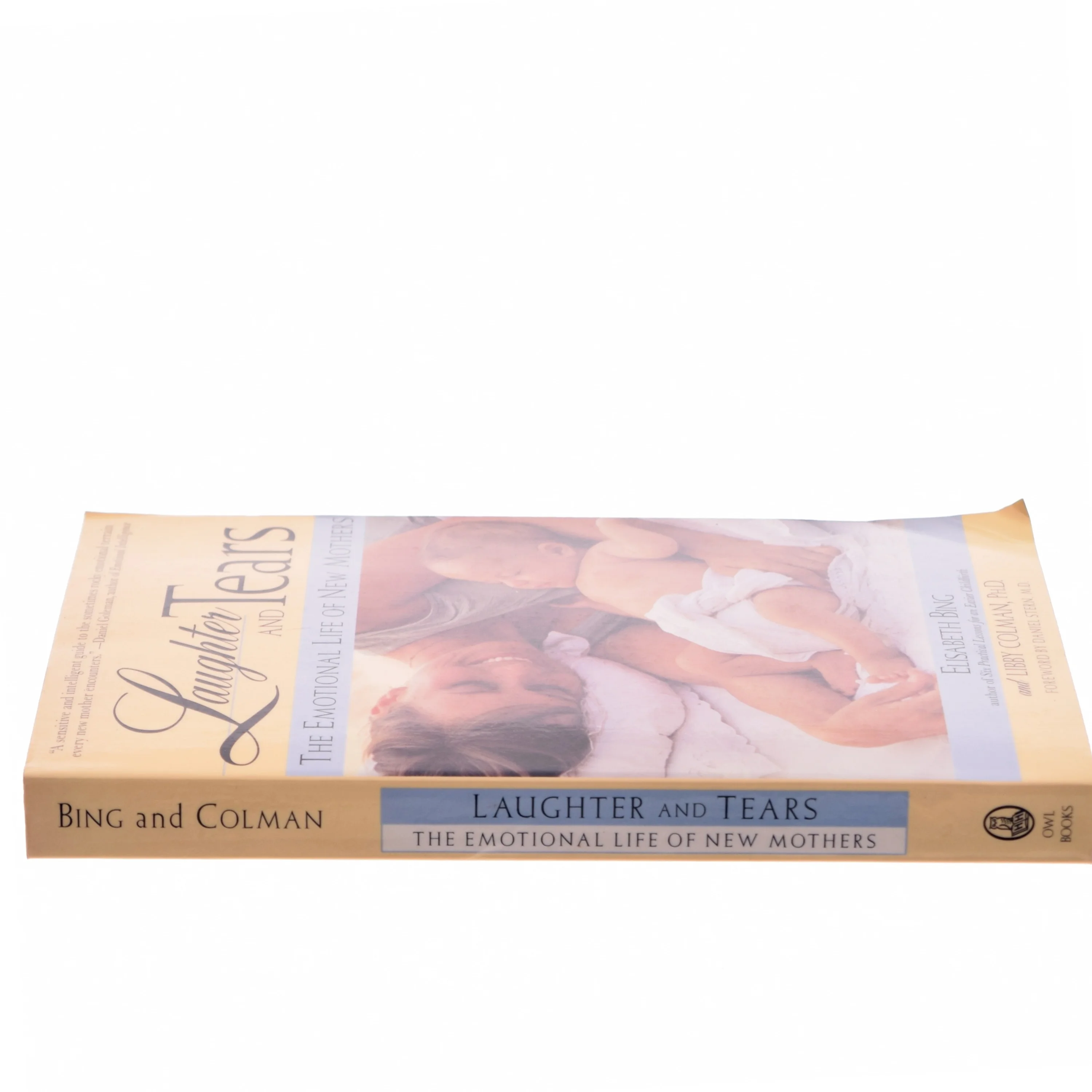 Laughter and Tears: The Emotional Life of New Mothers (Bog)