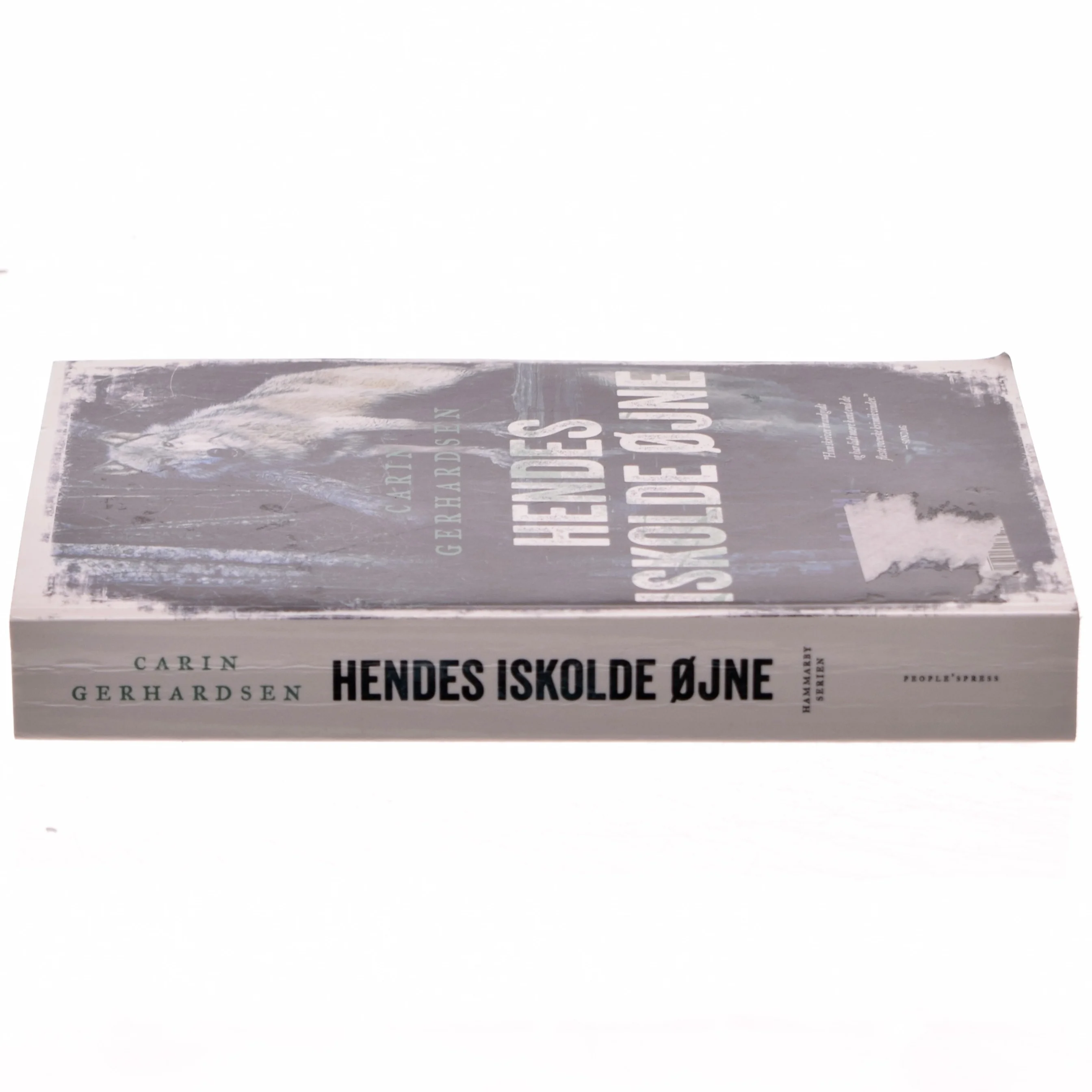 Hendes iskolde, øjne kriminalroman' af Carin Gerhardsen (bog)