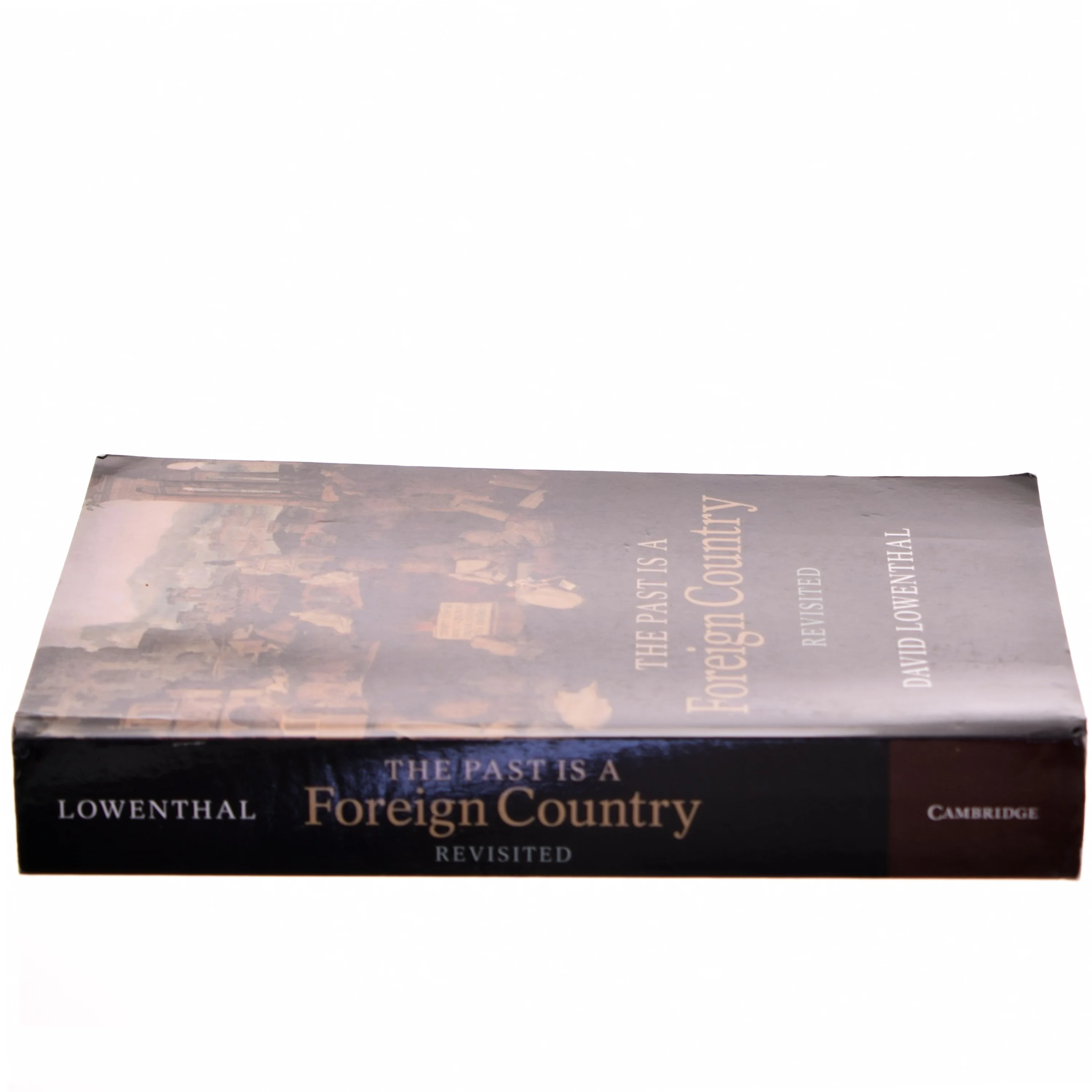 The past is a foreign country - revisited af David Lowenthal (Bog)