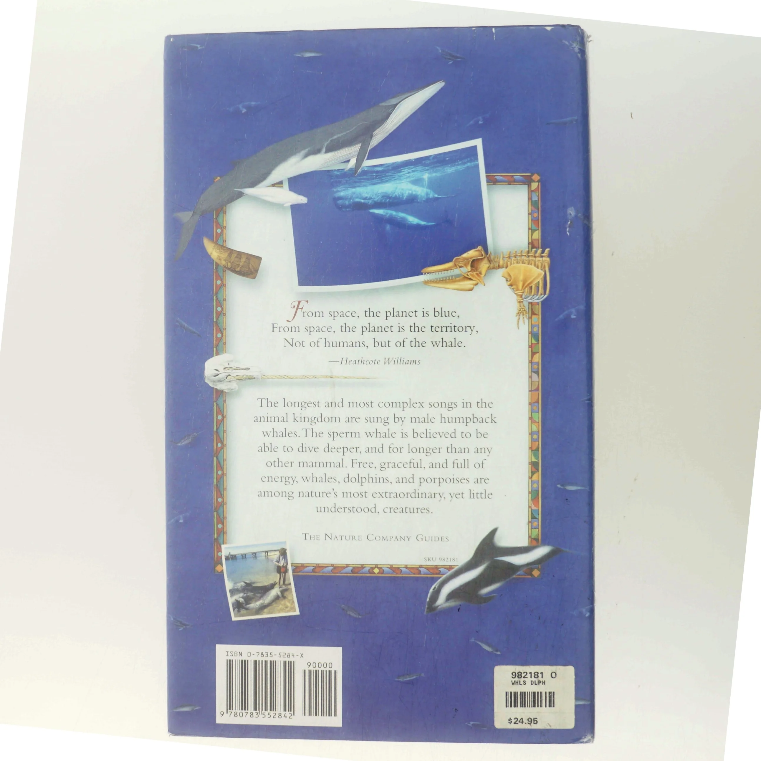 Whales, Dolphins & Porpoises (Bog)