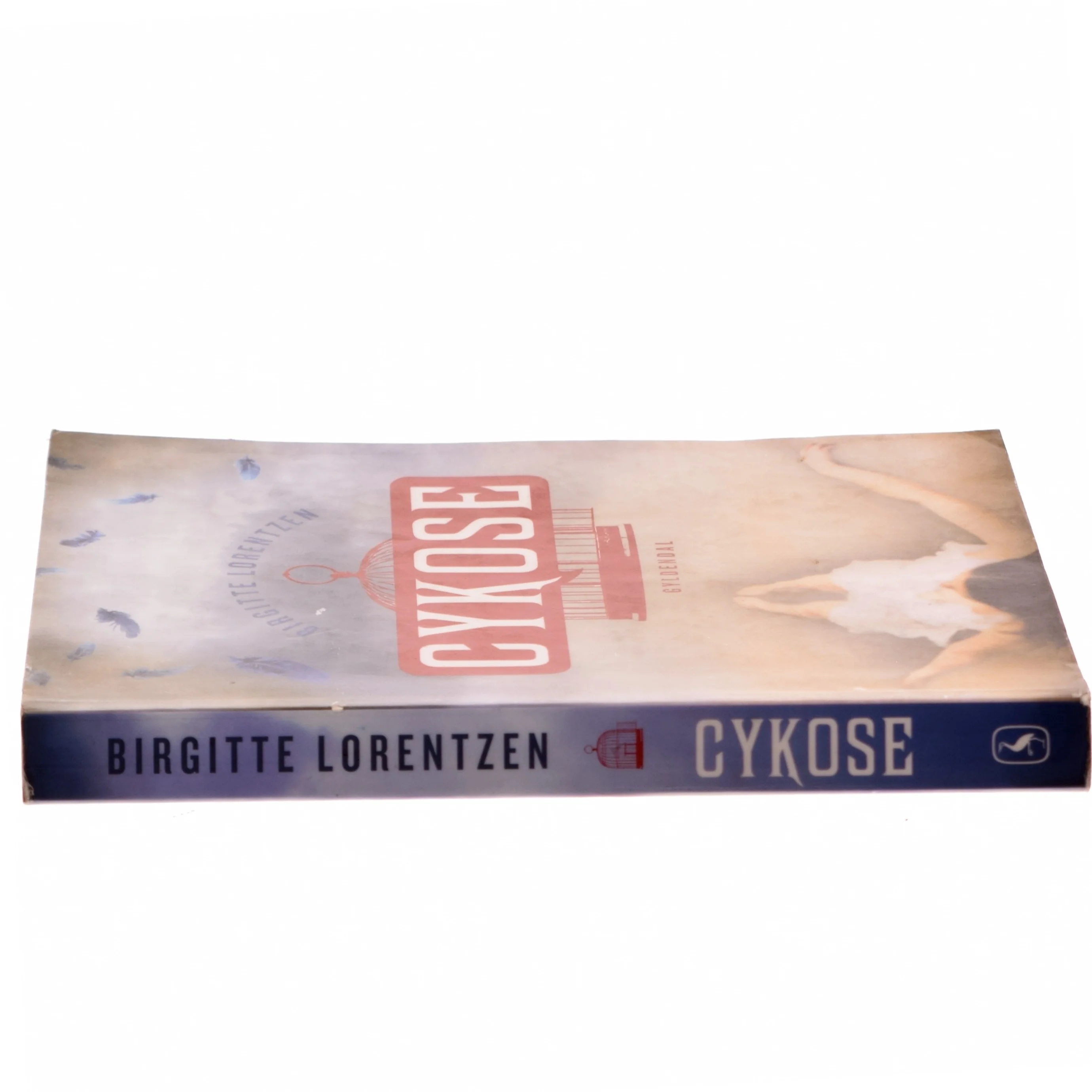 Cykose af Birgitte Lorentzen (Bog)