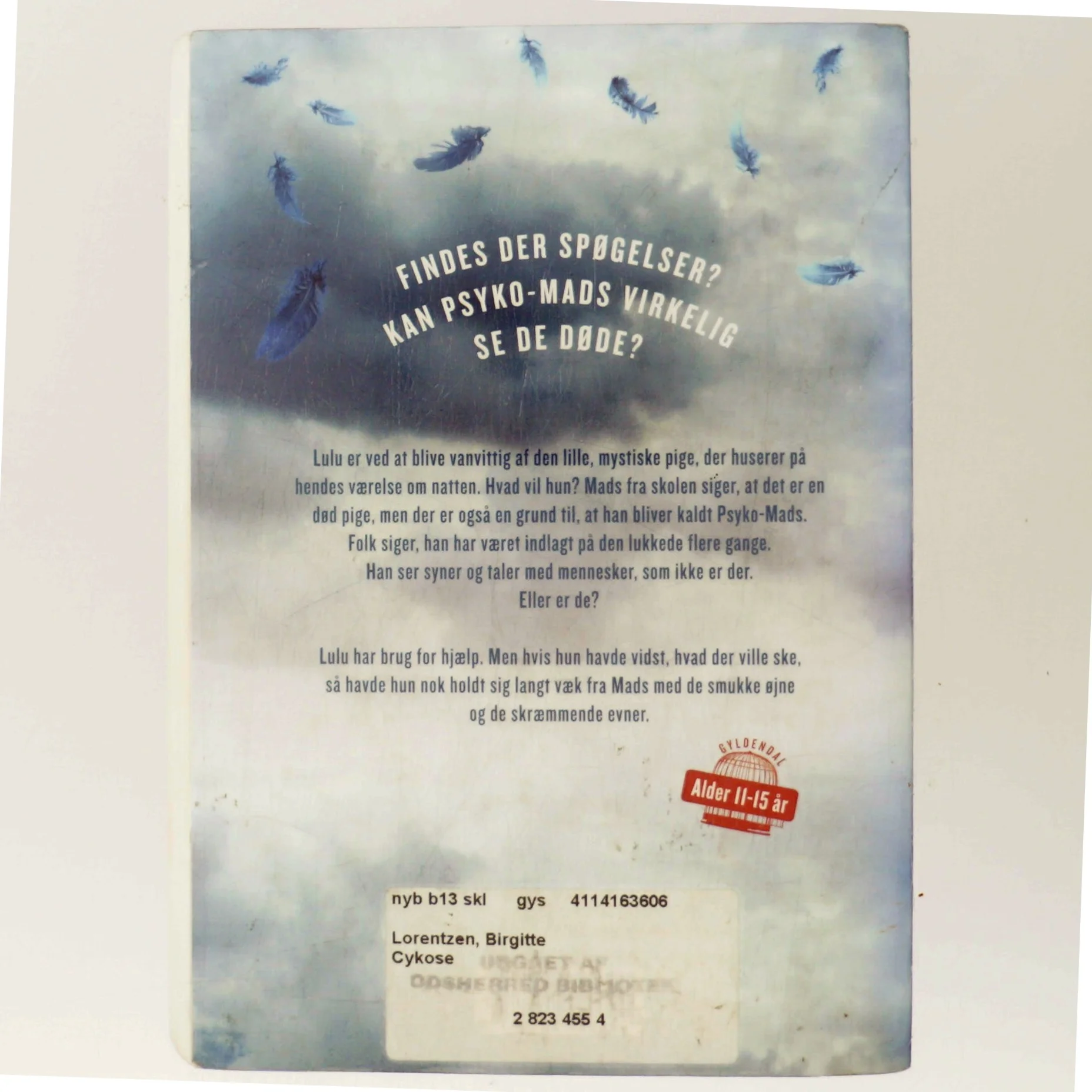 Cykose af Birgitte Lorentzen (Bog)