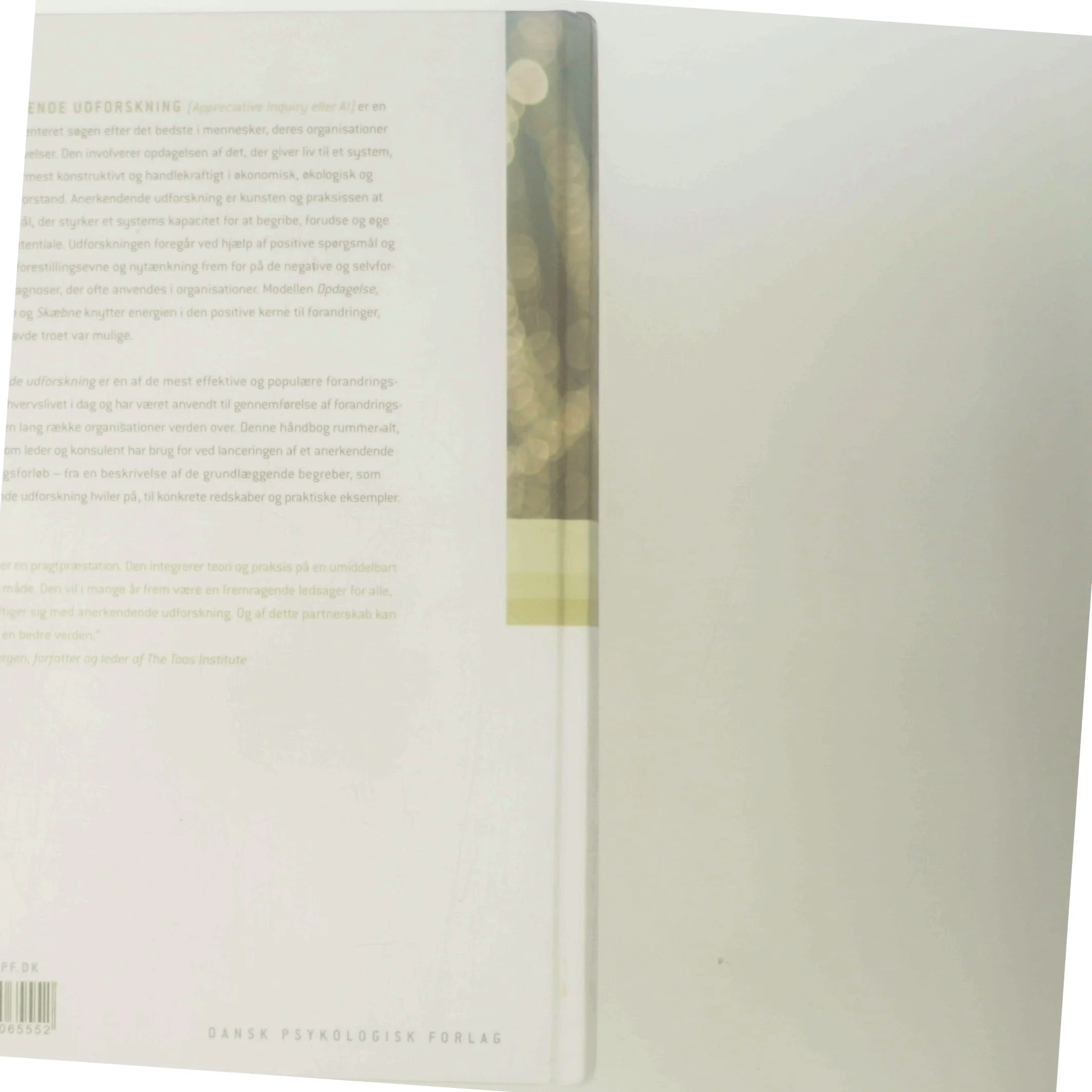 Håndbog i anerkendende udforskning : ideer til forandringsledelse af Diana Whitney (Bog)