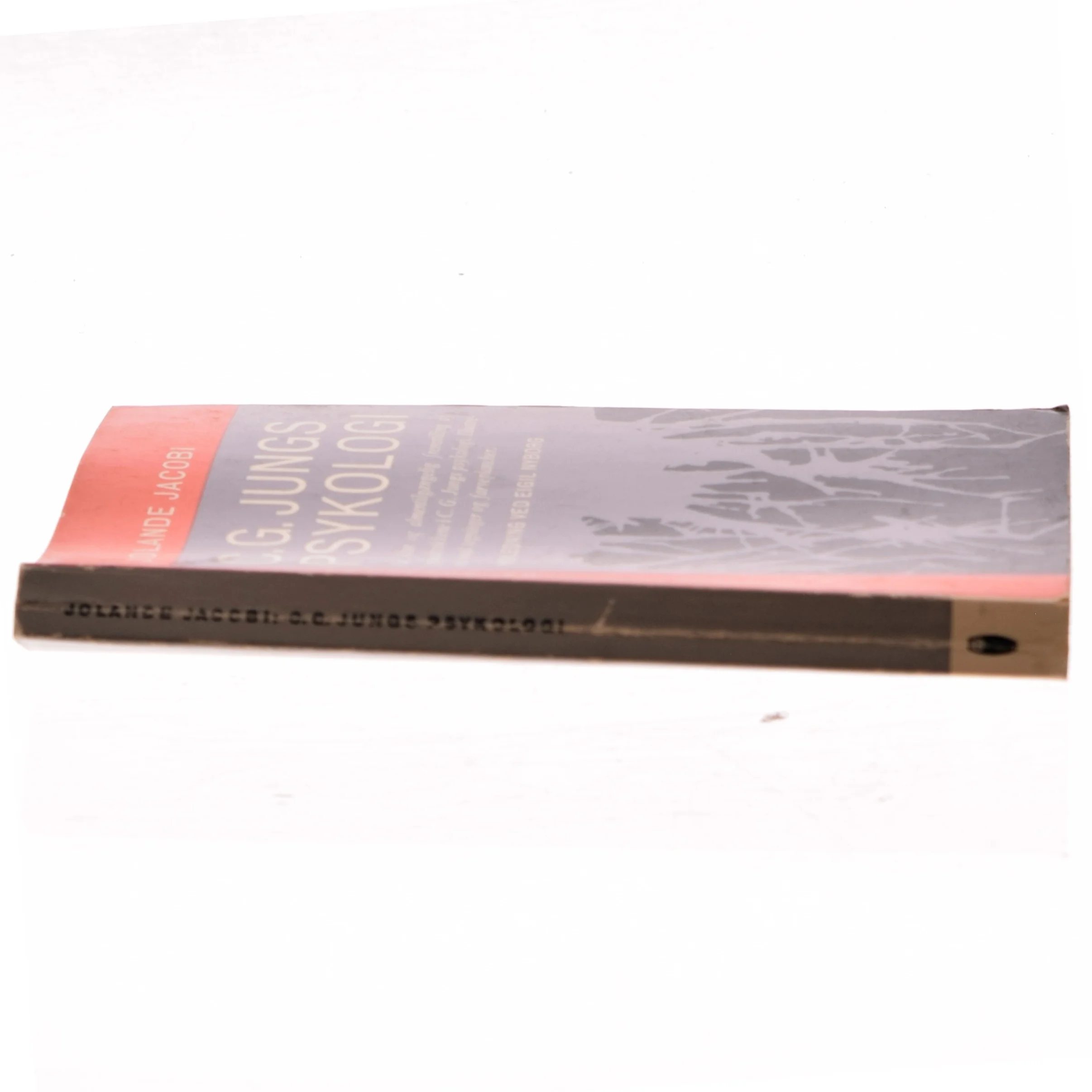 C.G. Jungs Psykologi af Jolande Jacobi (Bog)