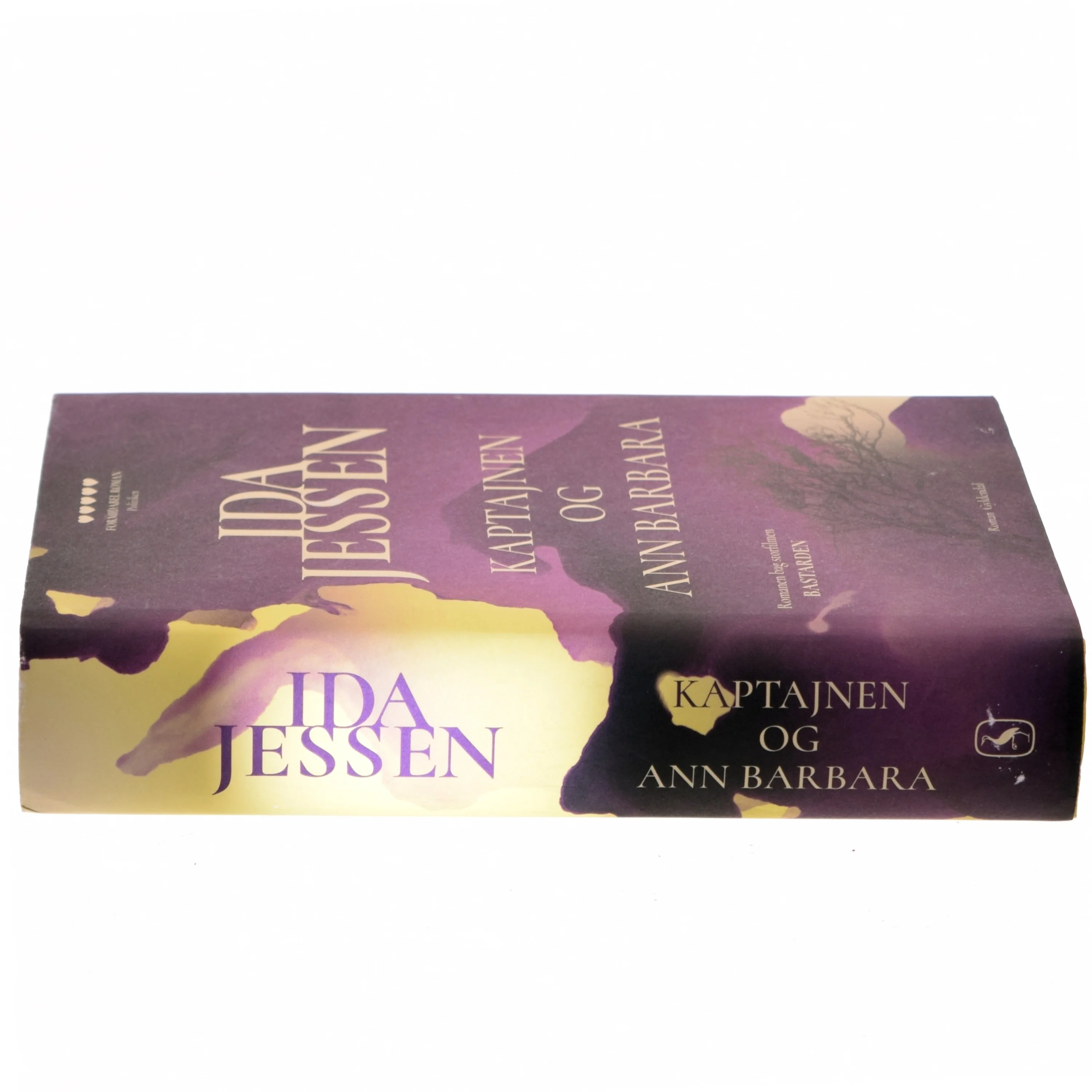 Kaptajnen og Ann Barbara : roman af Ida Jessen (1964-) (Bog)