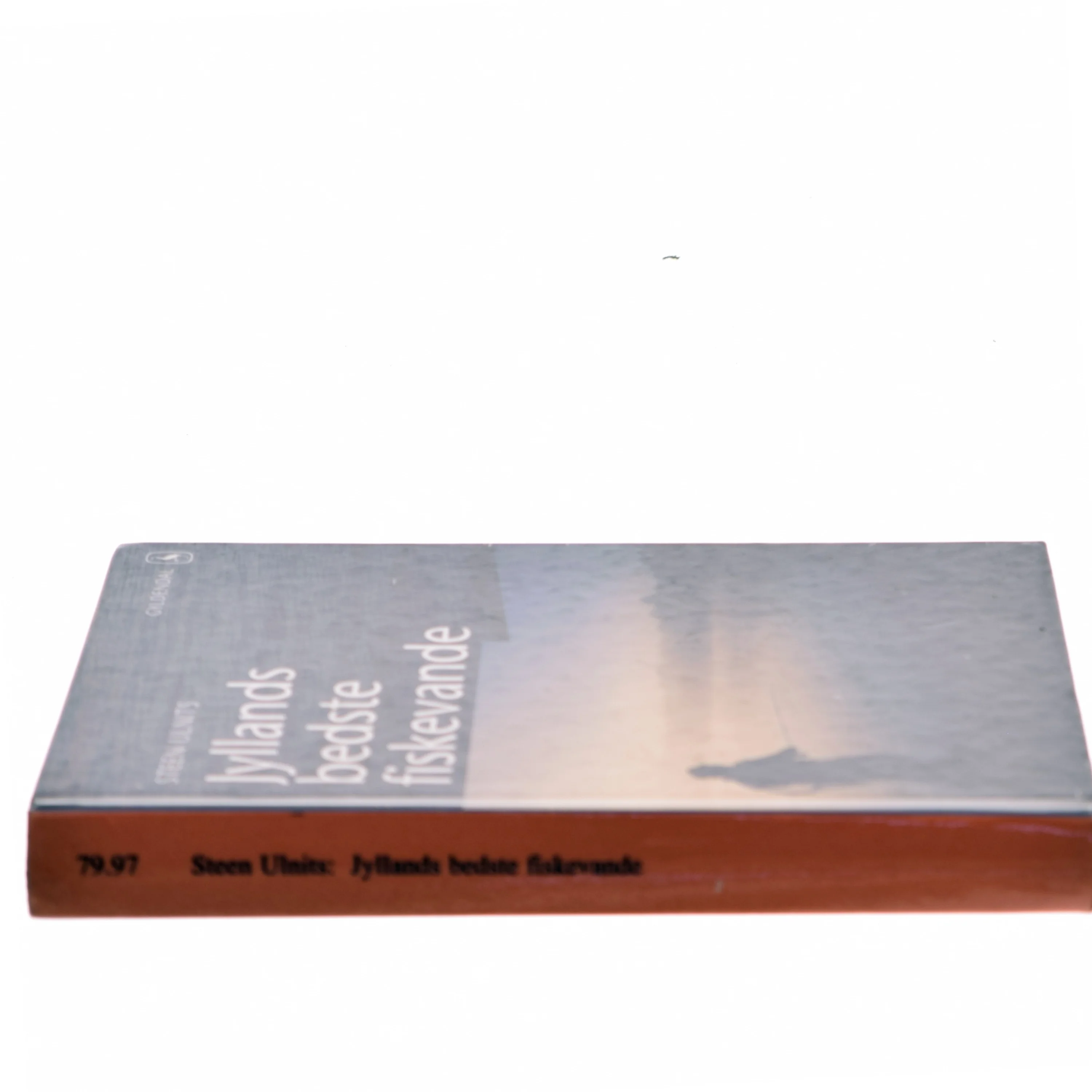 Jyllands bedste fiskevande af Steen Ulnits (Bog)