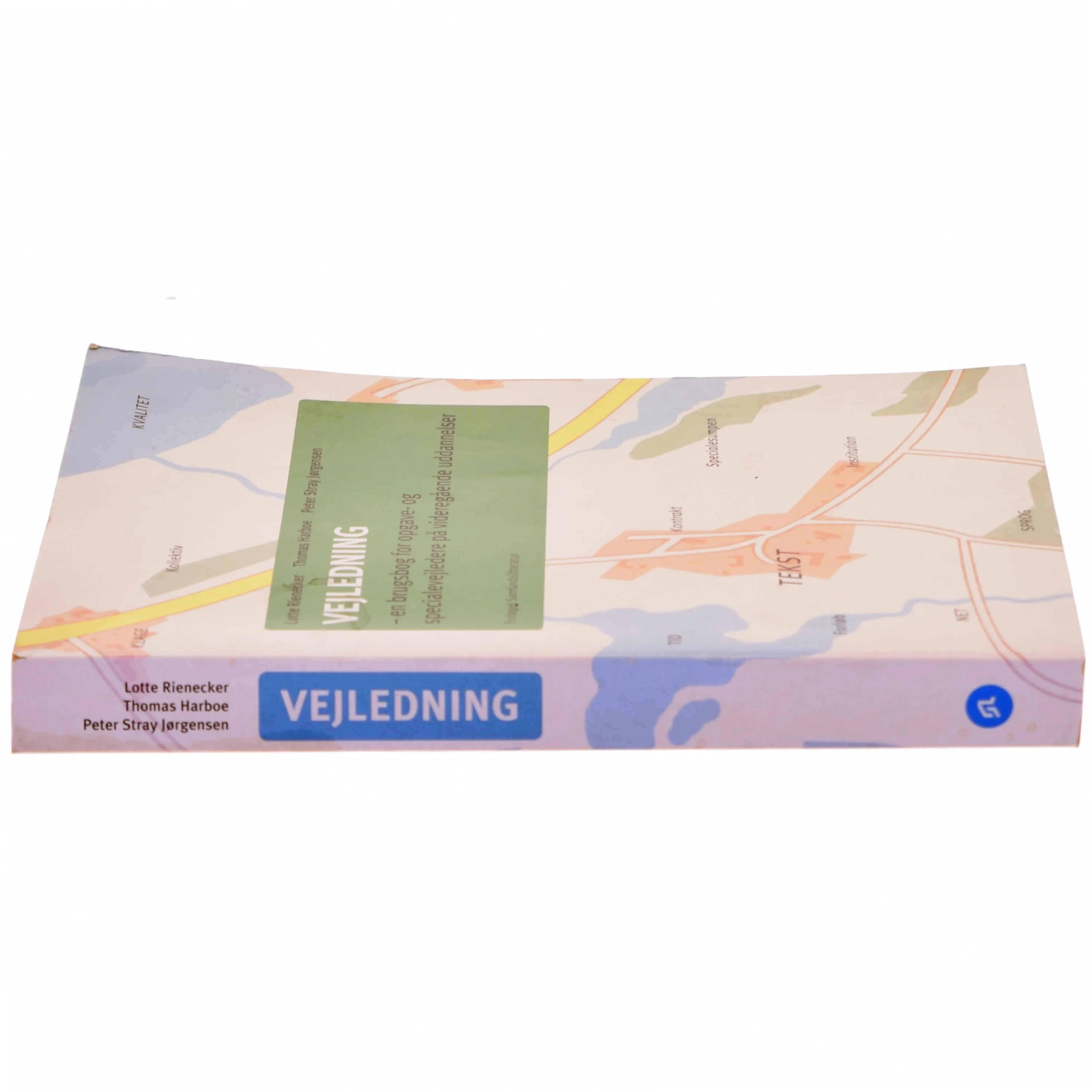 Vejledning : en brugsbog for opgave- og specialevejledere på videregående uddannelser (Bog)