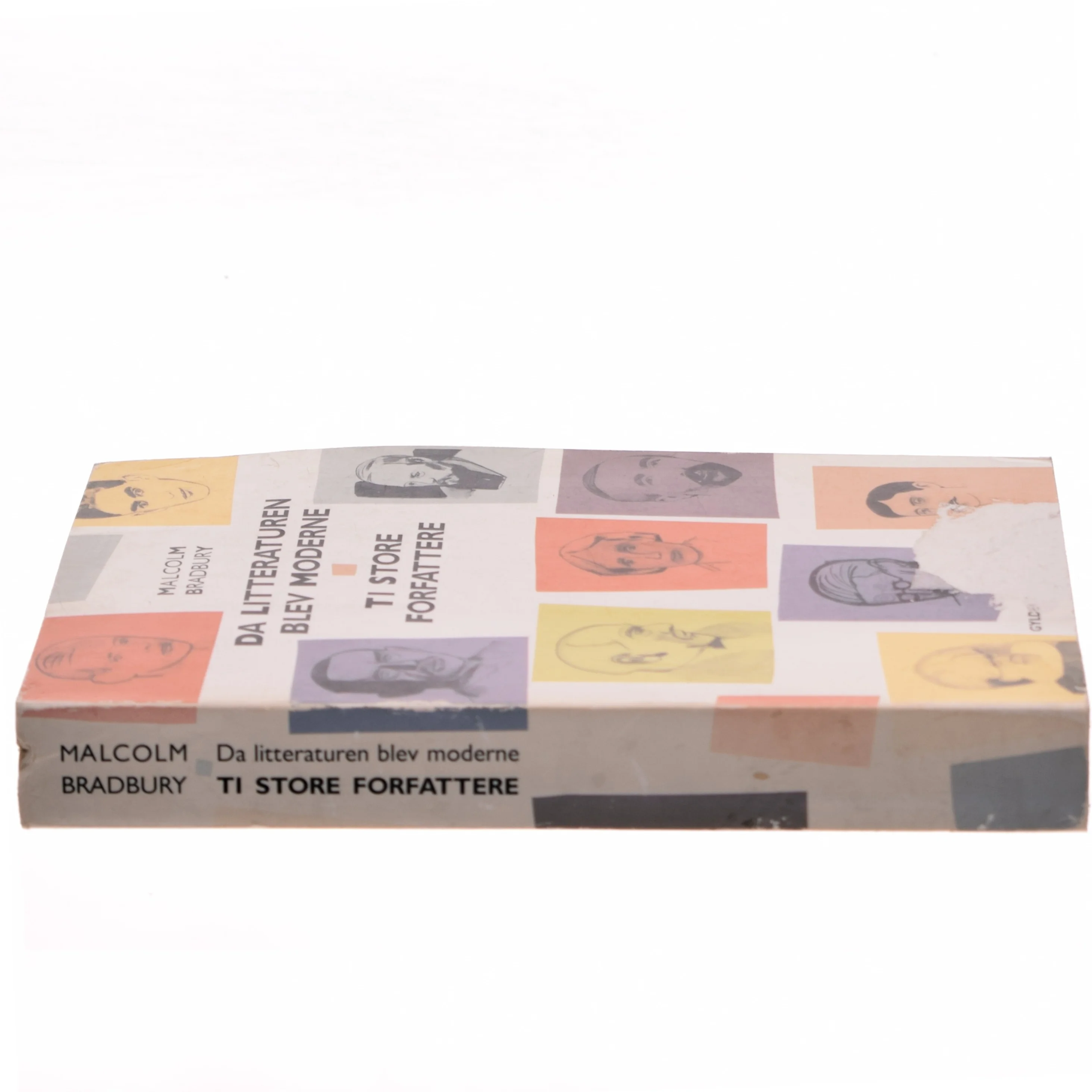 Da litteraturen blev moderne af Malcolm Bradbury (Bog)