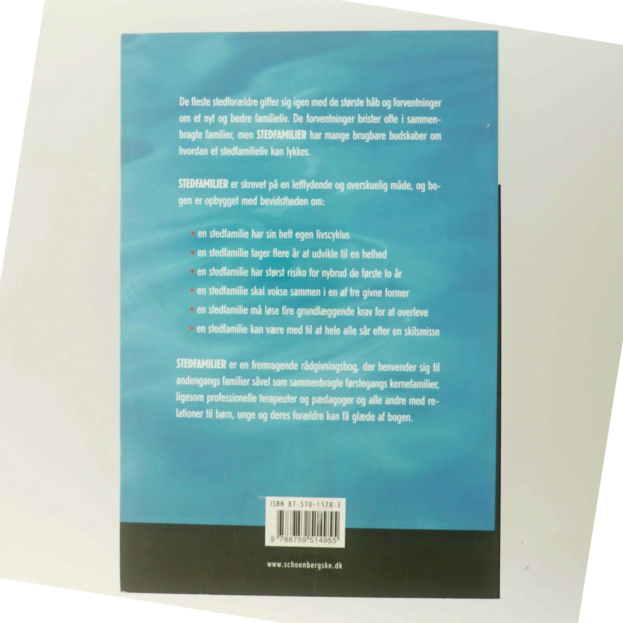 Bog om stedfamilier af James H. Bray og John Kelly fra Schønberg