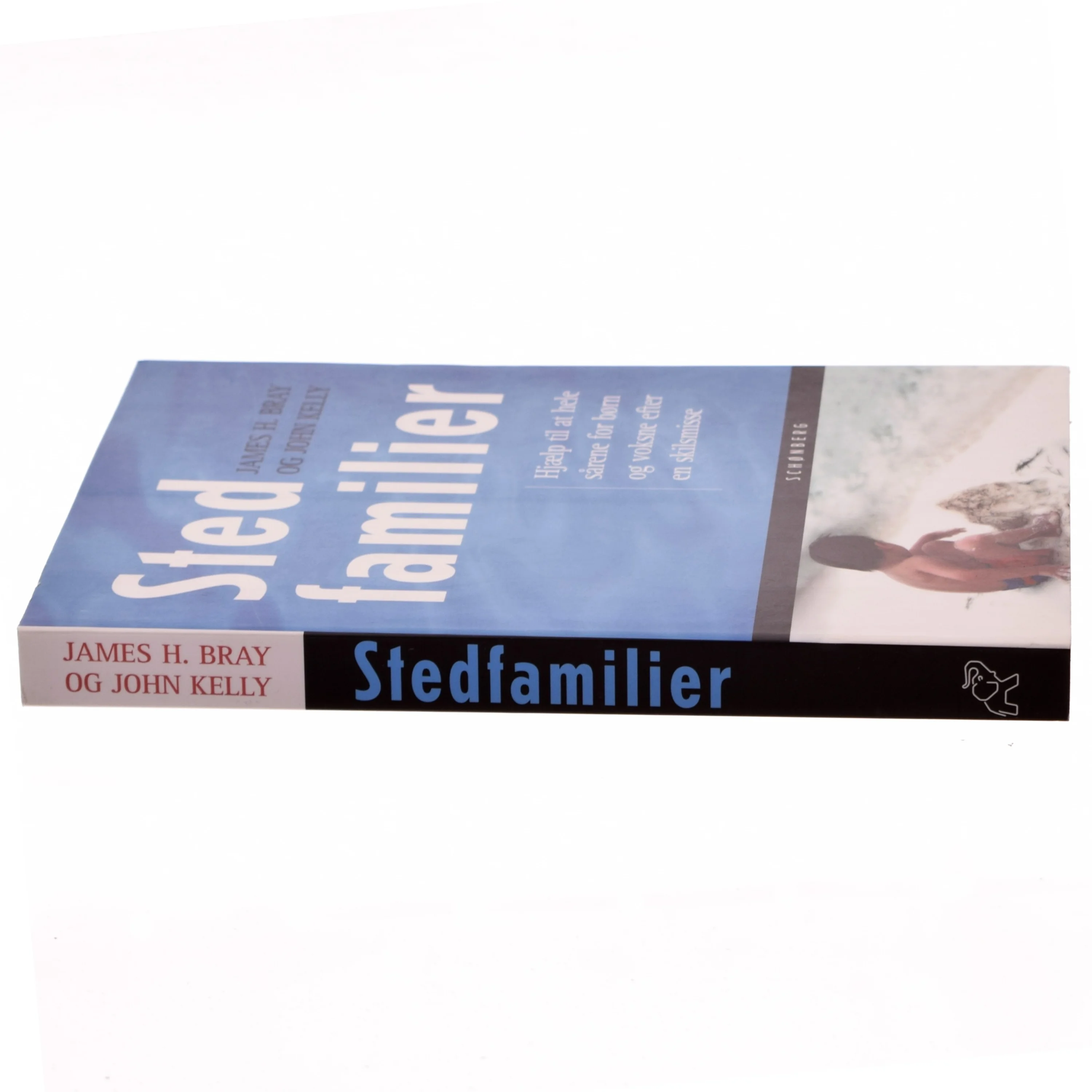 Bog om stedfamilier af James H. Bray og John Kelly fra Schønberg