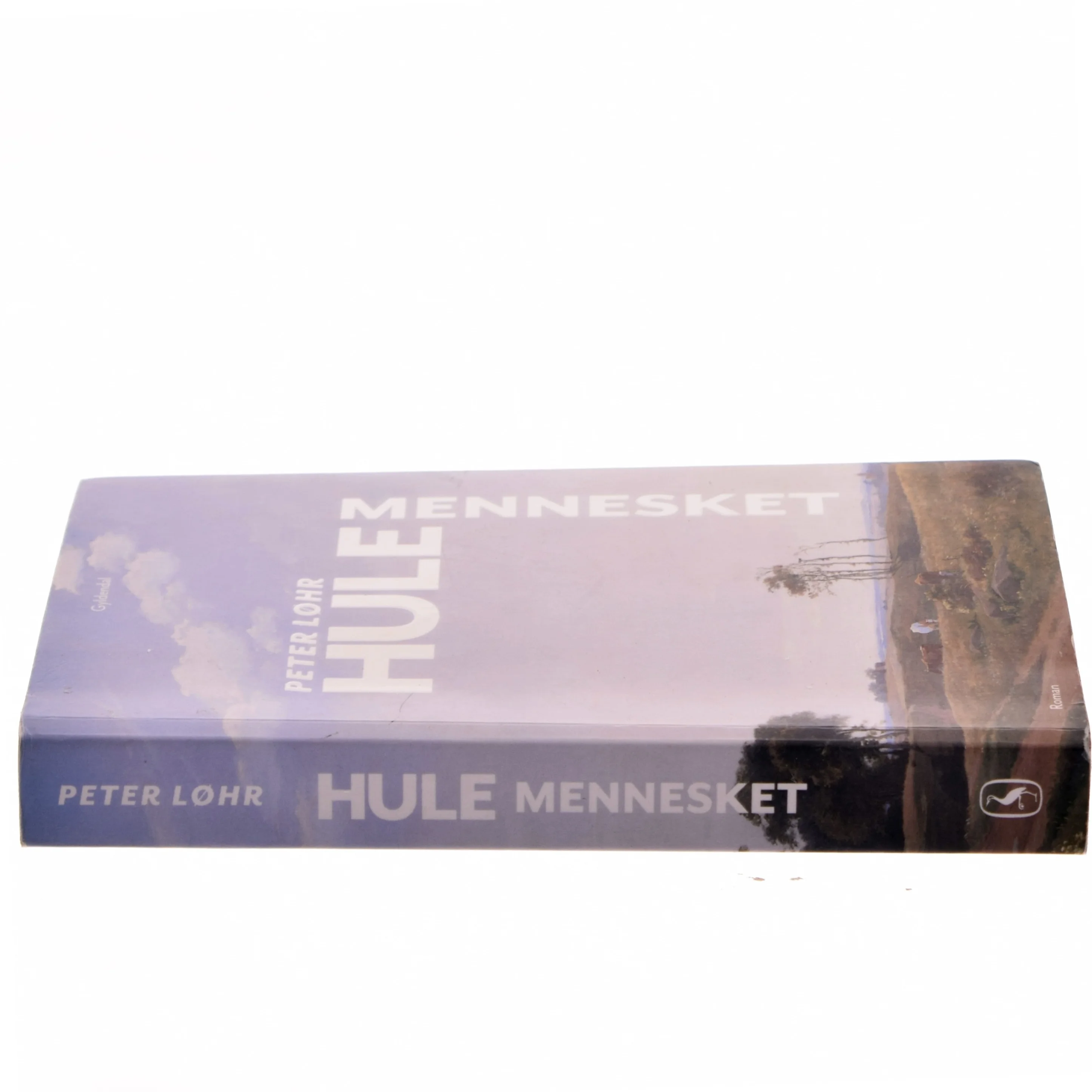 Hulemennesket : roman af Peter Løhr (Bog)