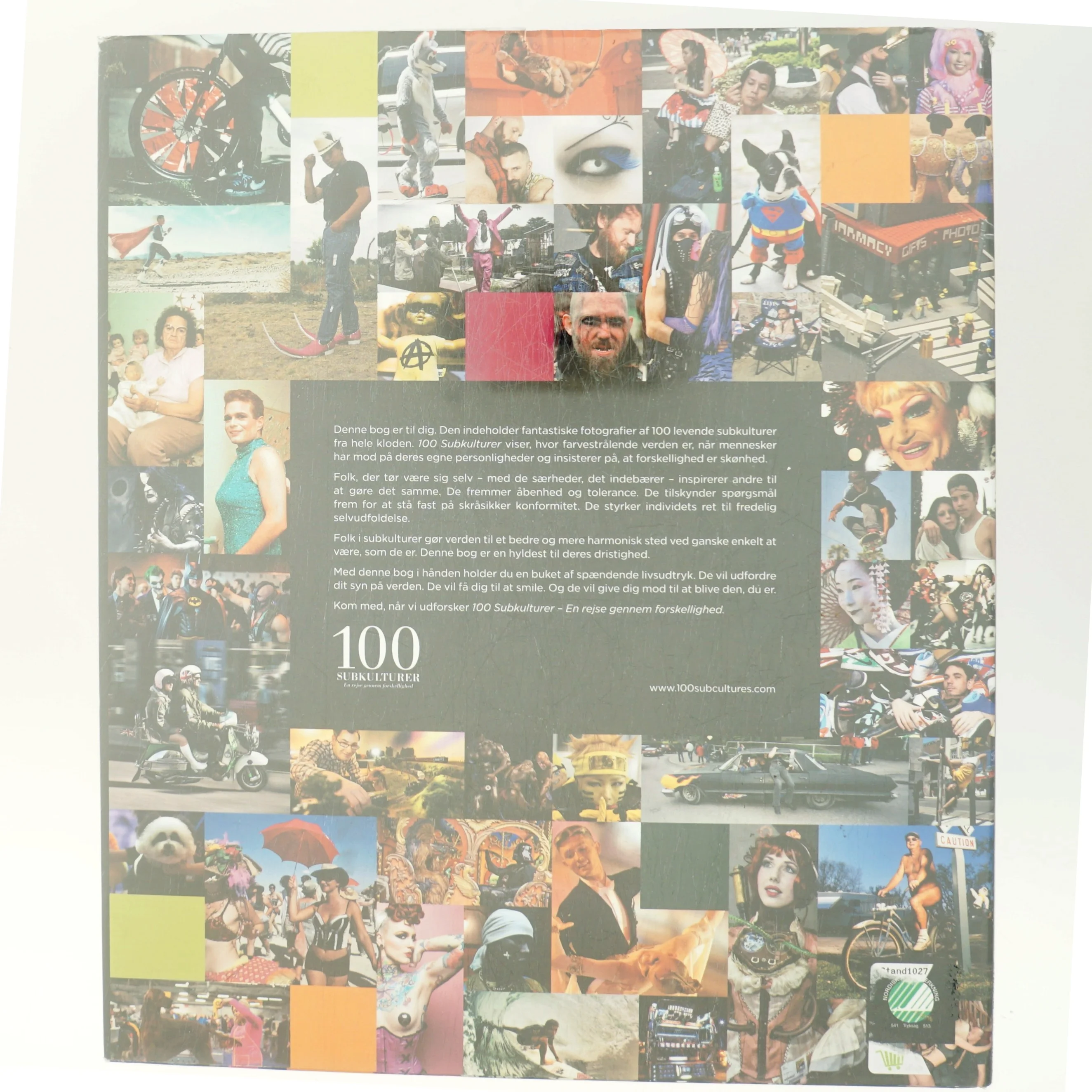 100 Subkulturer af Ukendt forfatter (Bog)