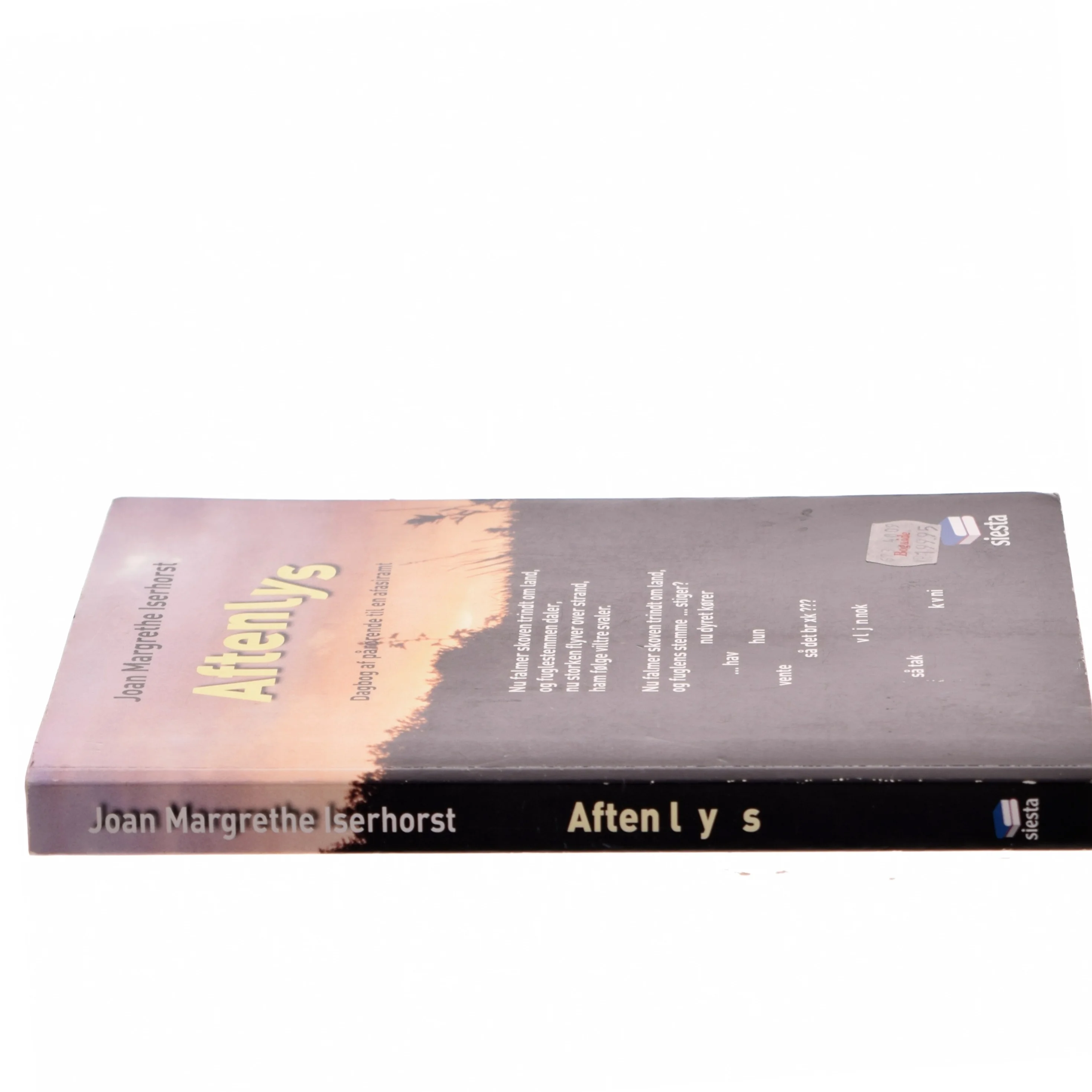 Aftenlys : dagbog af pårørende til en afasiramt af Joan Iserhorst (Bog)