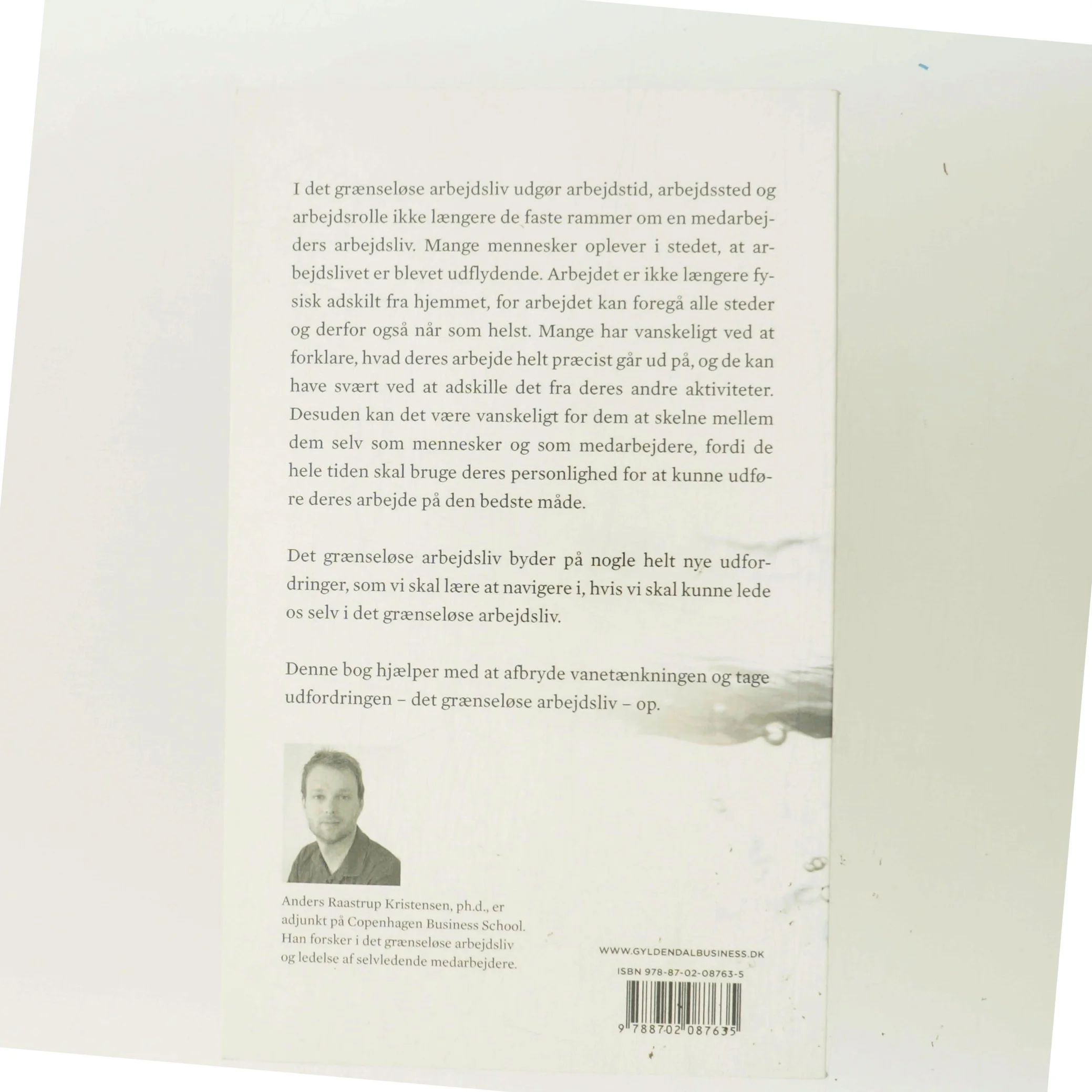 Det grænseløse arbejdsliv : at lede de selvledende medarbejdere af Anders Raastrup Kristensen (Bog)