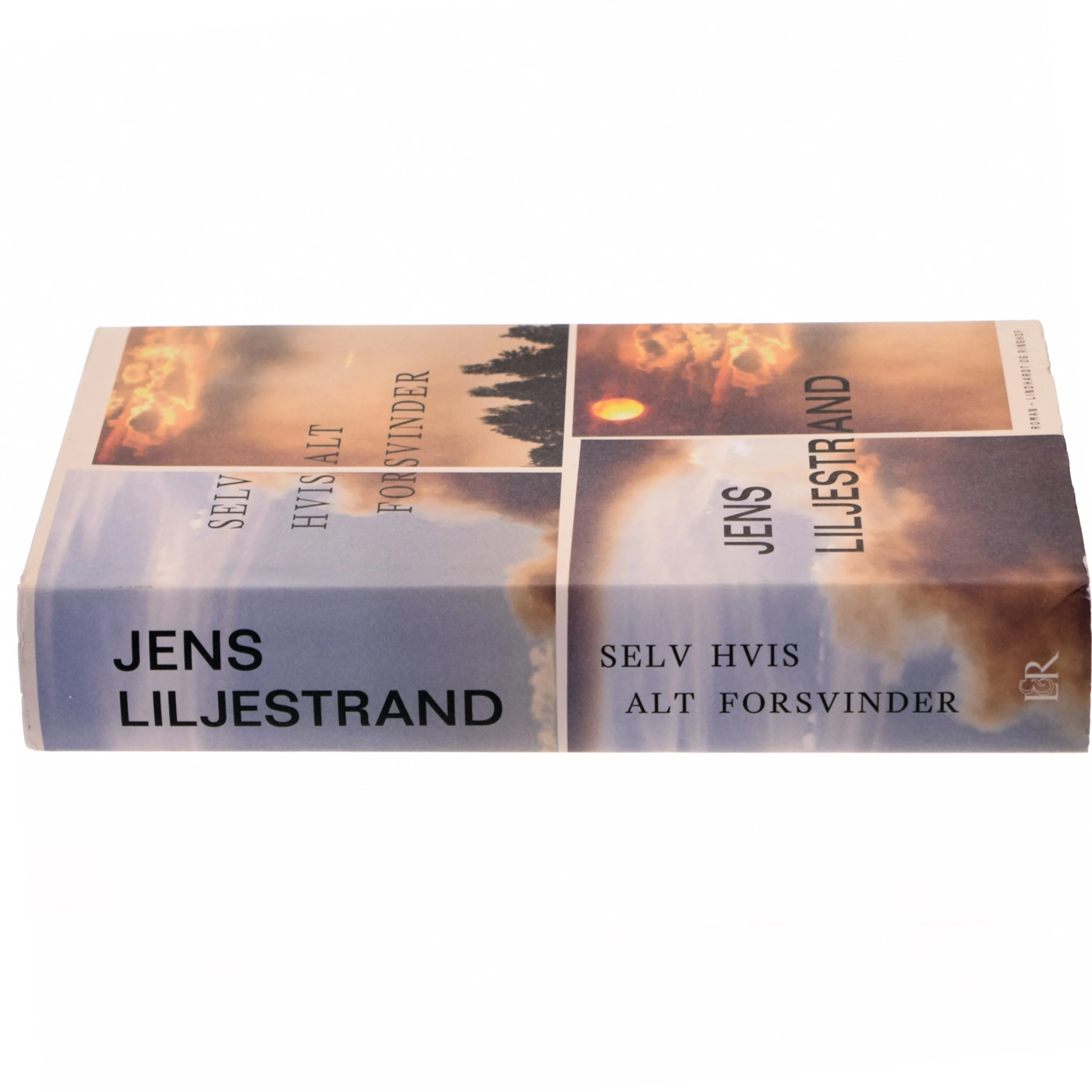 Selv hvis alt forsvinder af Jens Liljestrand (f. 1974) (Bog)