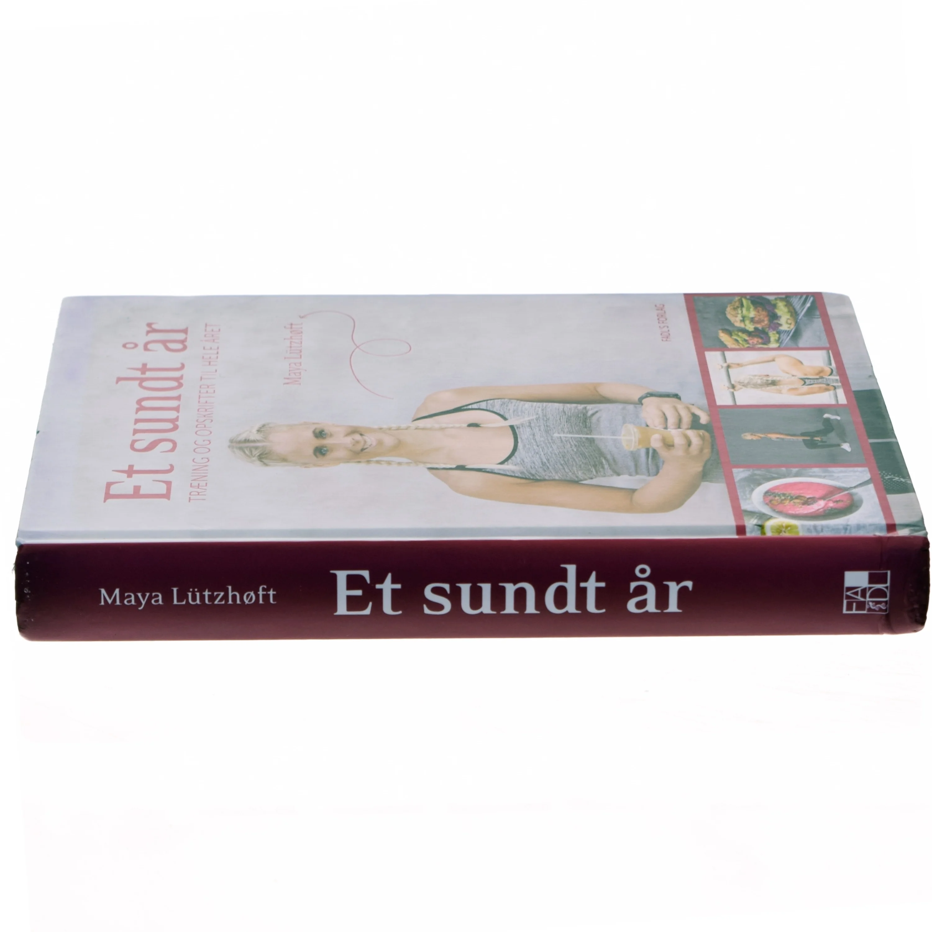 Et sundt år : træning og opskrifter til hele året af Maya Lützhøft (Bog)